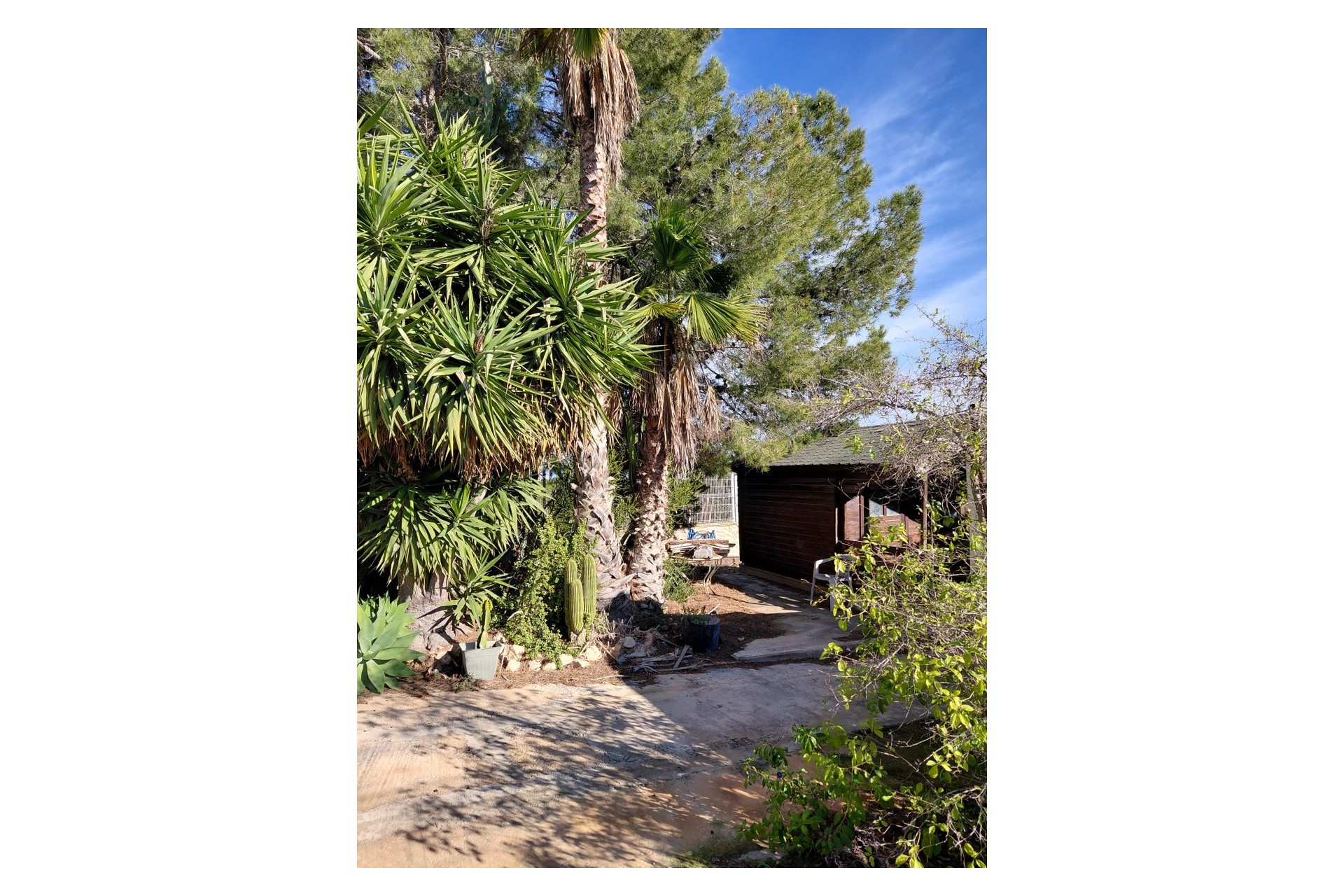 Reventa - Finca / Country Property -
Orihuela
