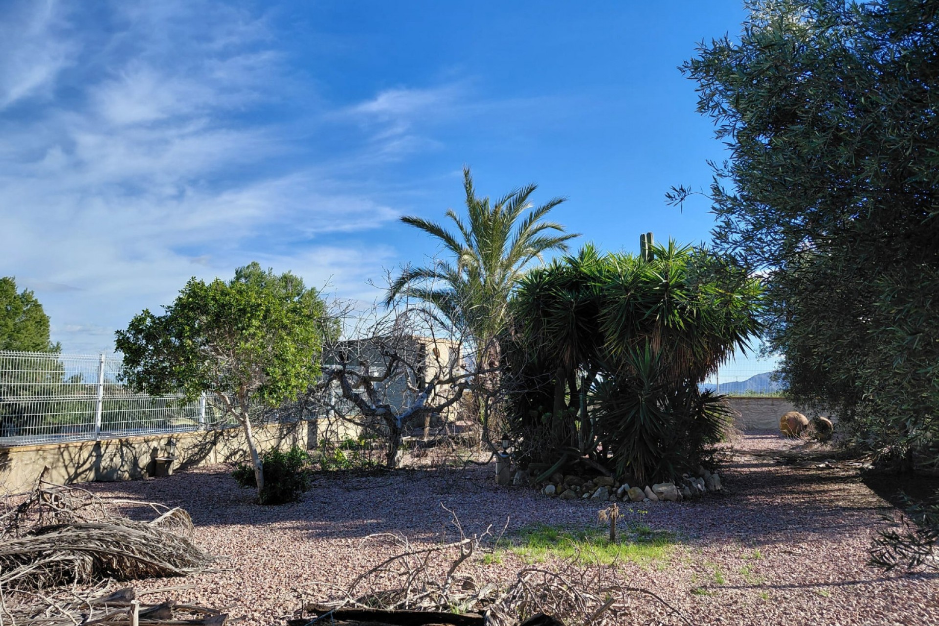 Reventa - Finca / Country Property -
Orihuela