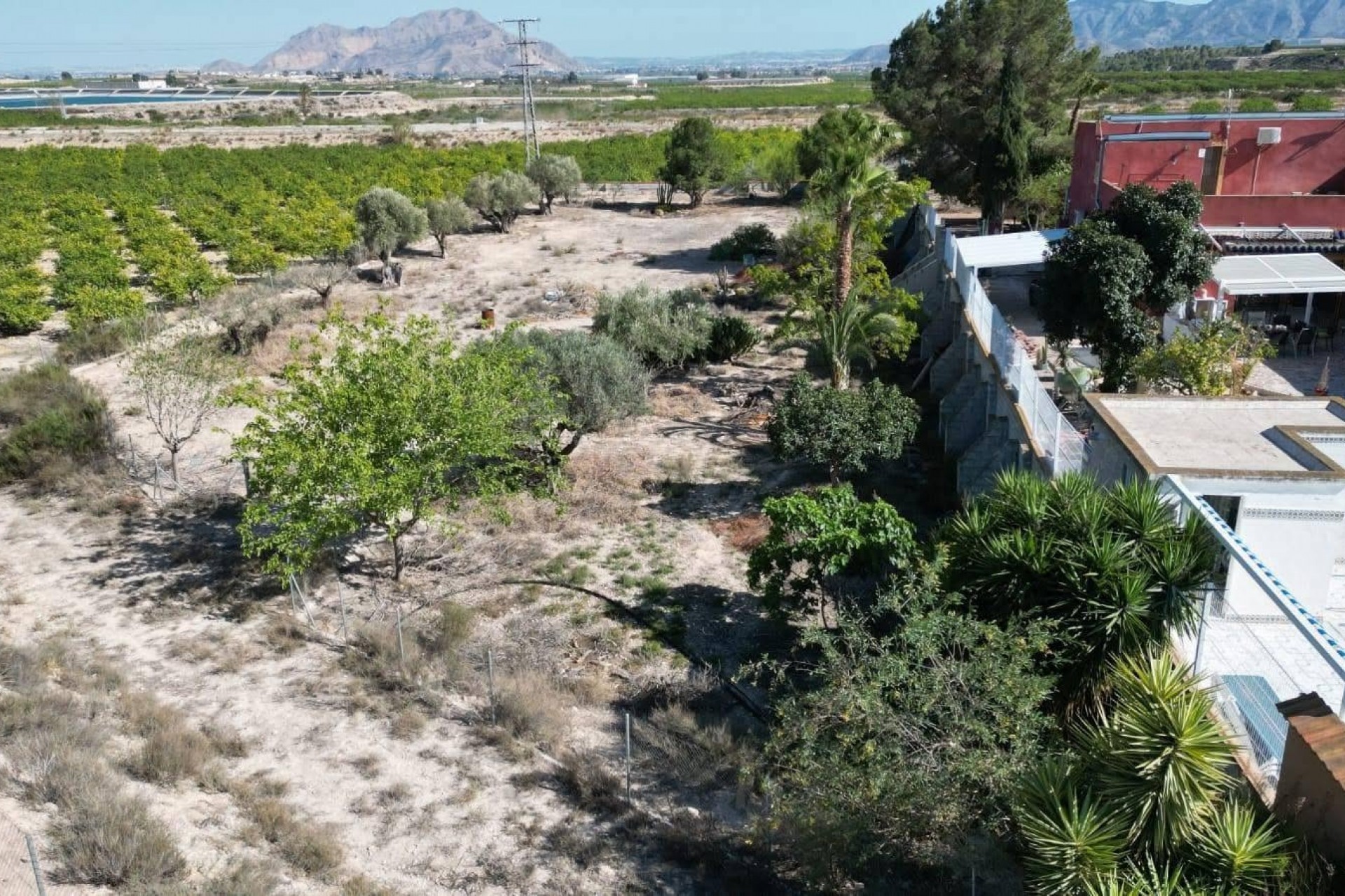 Reventa - Finca / Country Property -
Orihuela