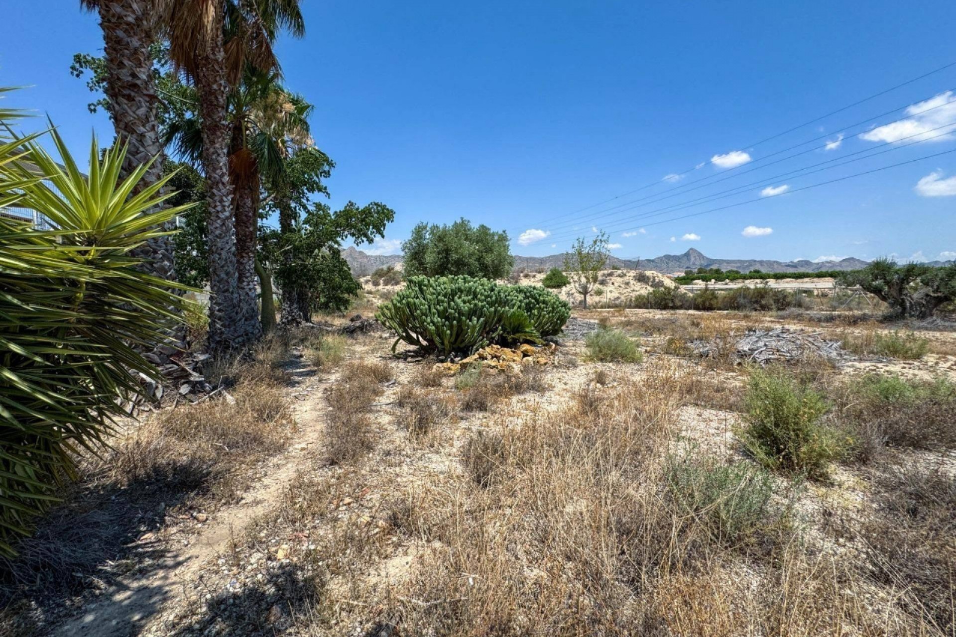 Reventa - Finca / Country Property -
Orihuela