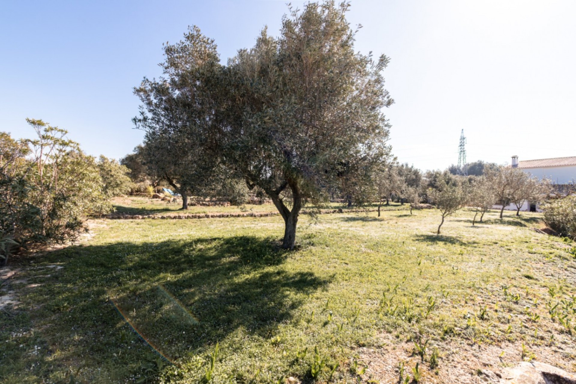 Reventa - Finca -
Teulada - Canor