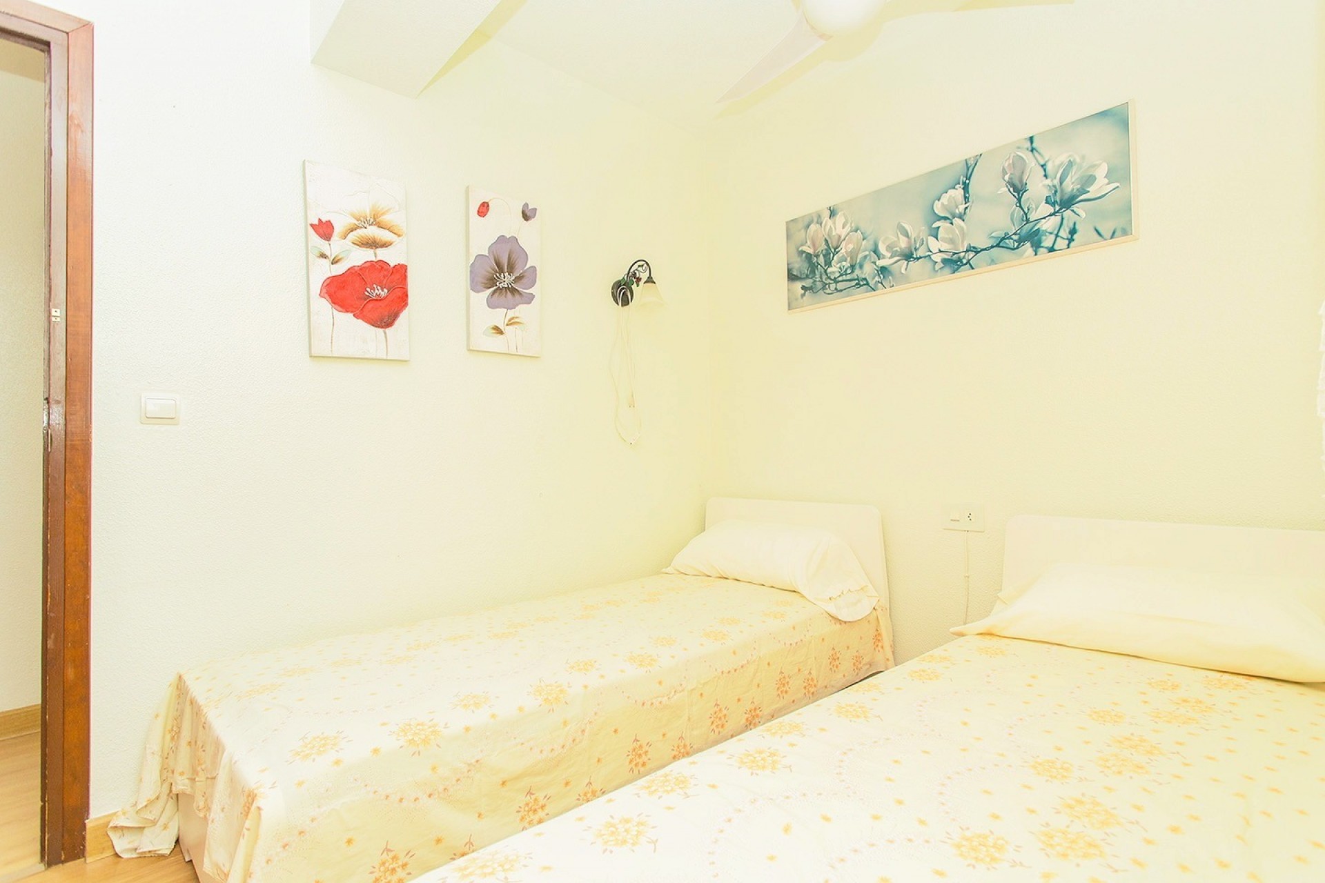 Reventa - Flat -
Torrevieja - Playa del cura