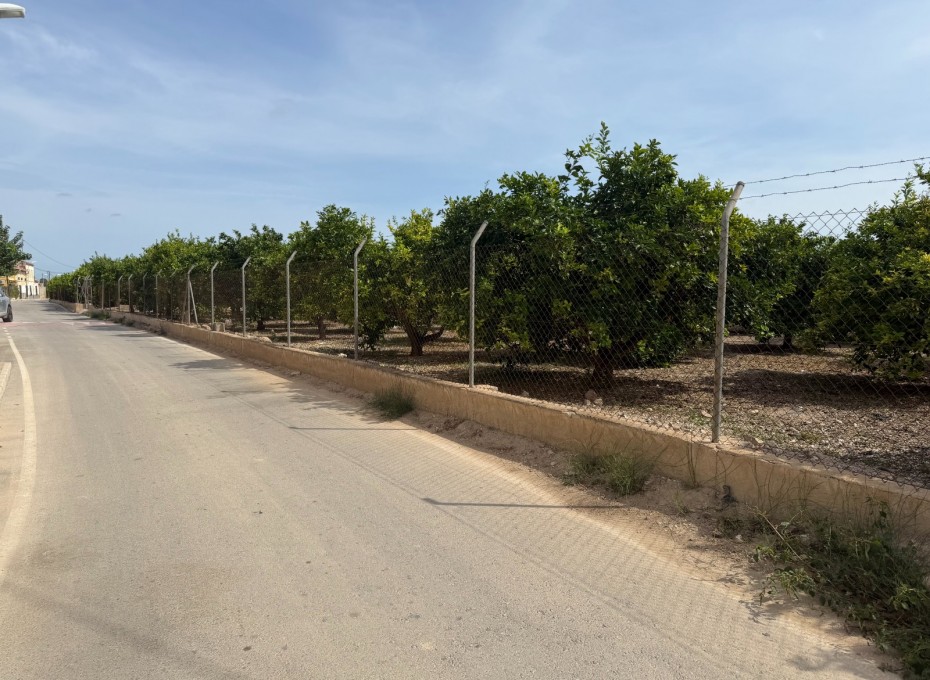 Reventa - Piso -
Benejúzar - Inland