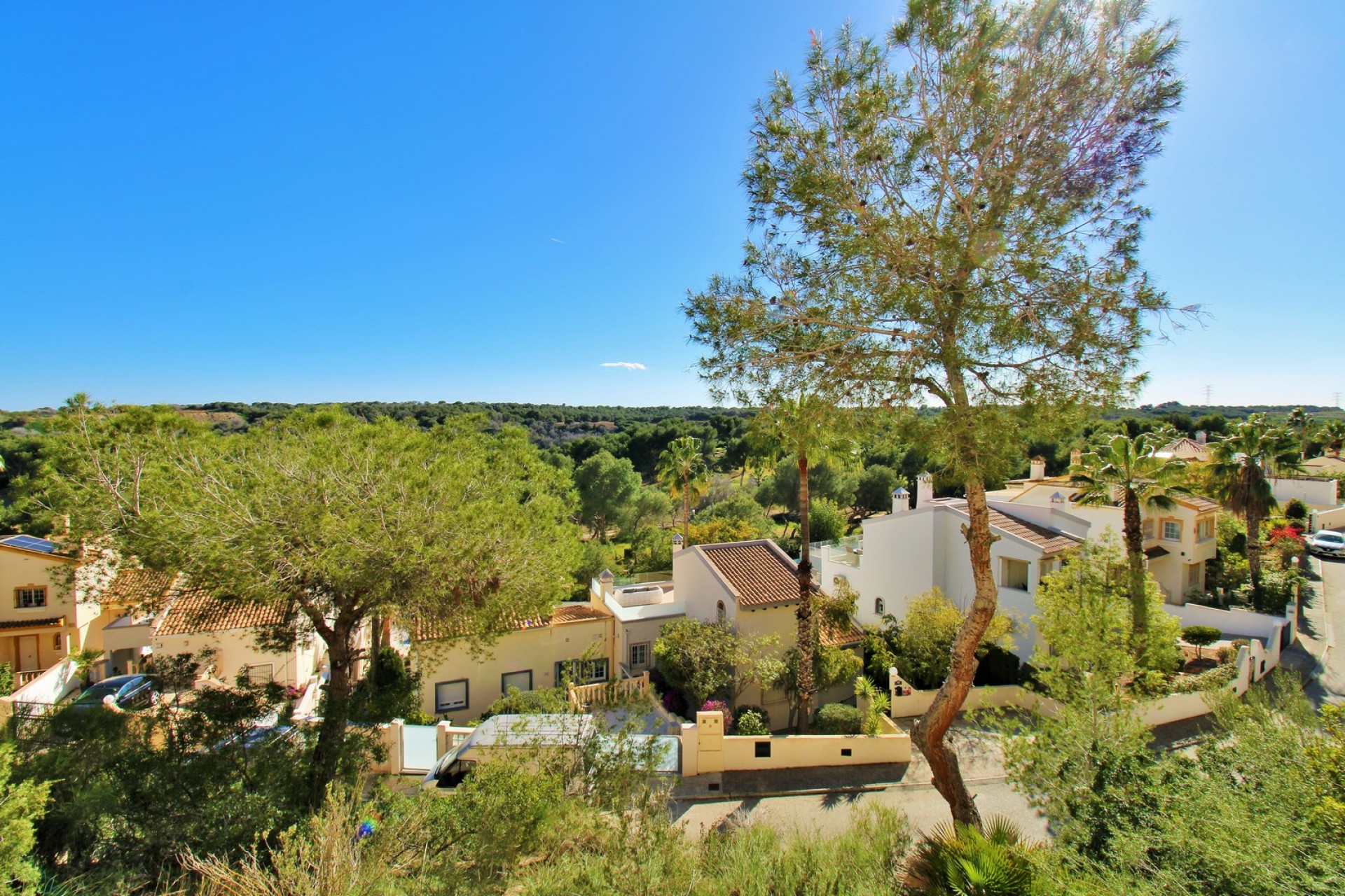 Reventa - Piso -
Las Ramblas