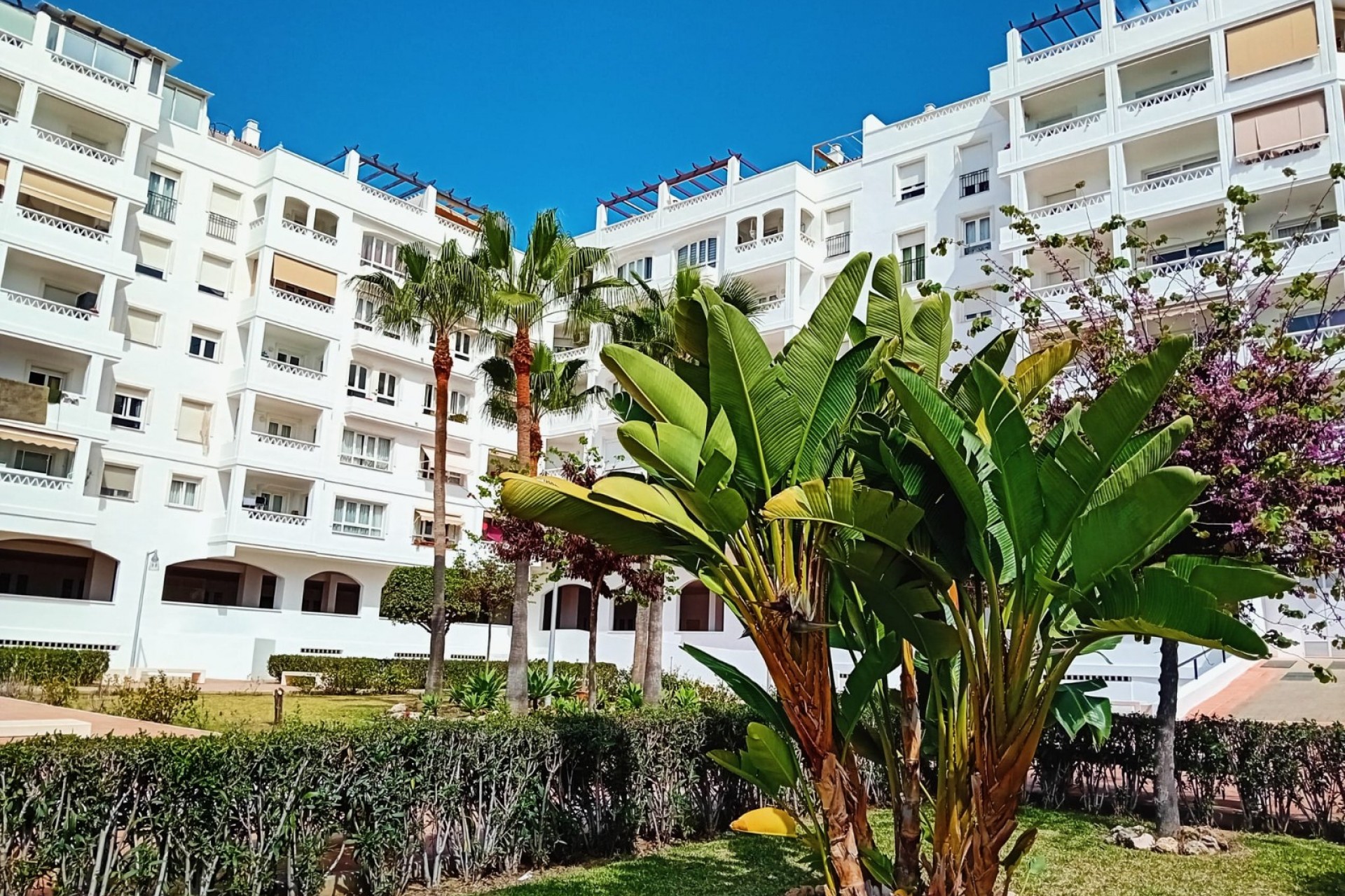 Reventa - Piso -
Marbella - Nueva Andalucía