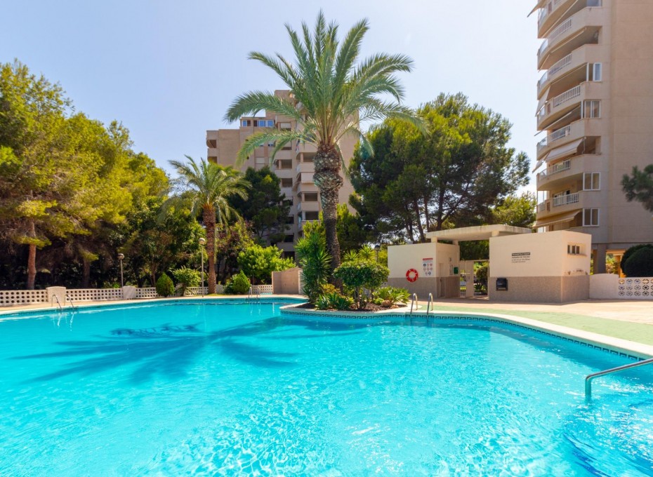 Reventa - Piso -
Orihuela Costa - Campoamor