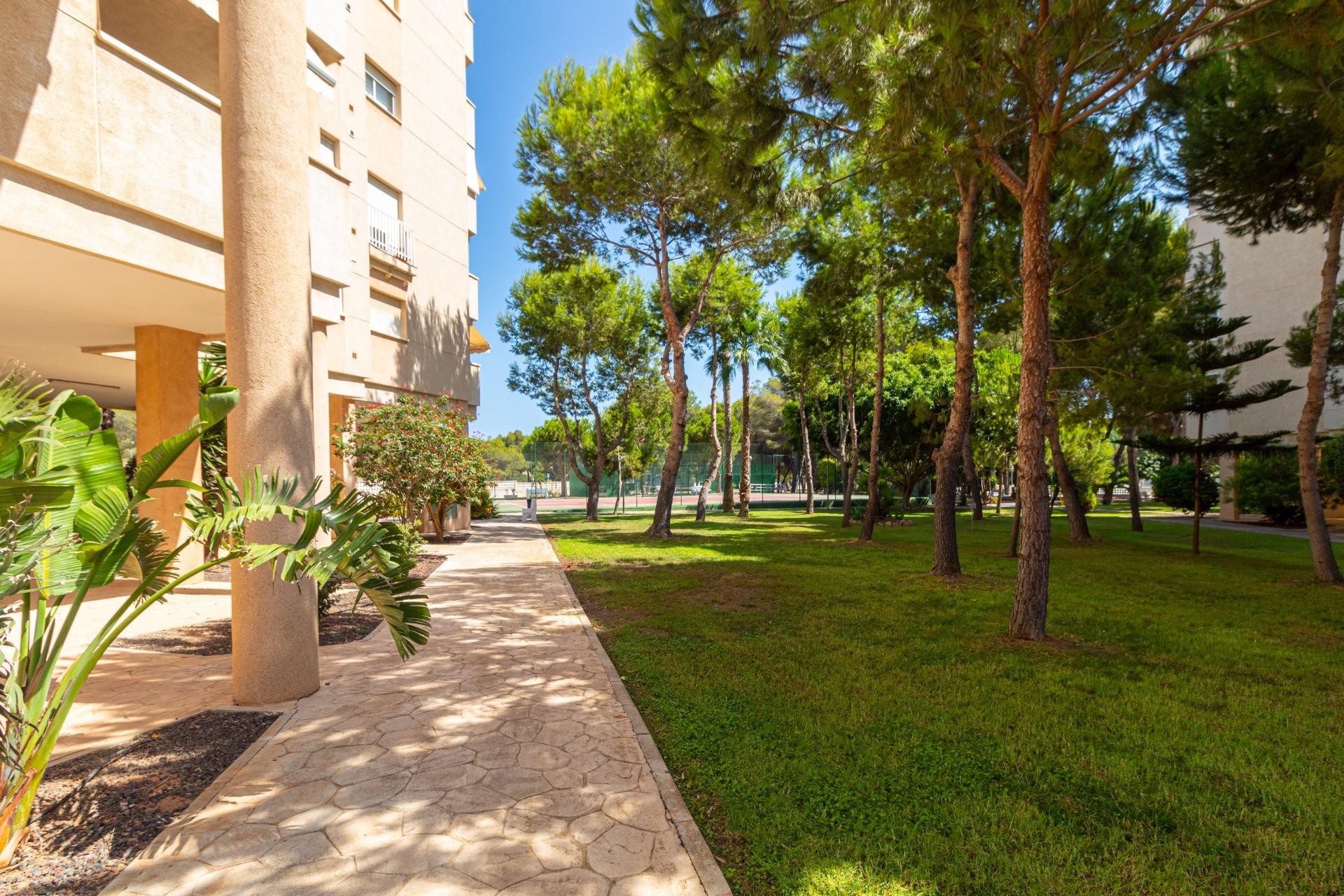 Reventa - Piso -
Orihuela Costa - Campoamor