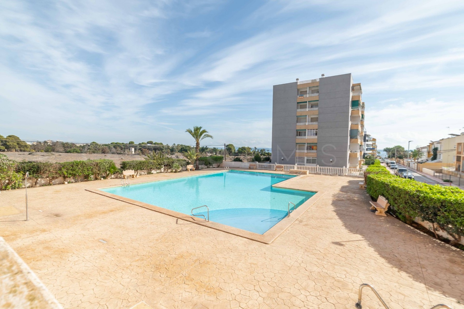 Reventa - Piso -
Orihuela Costa - Punta Prima