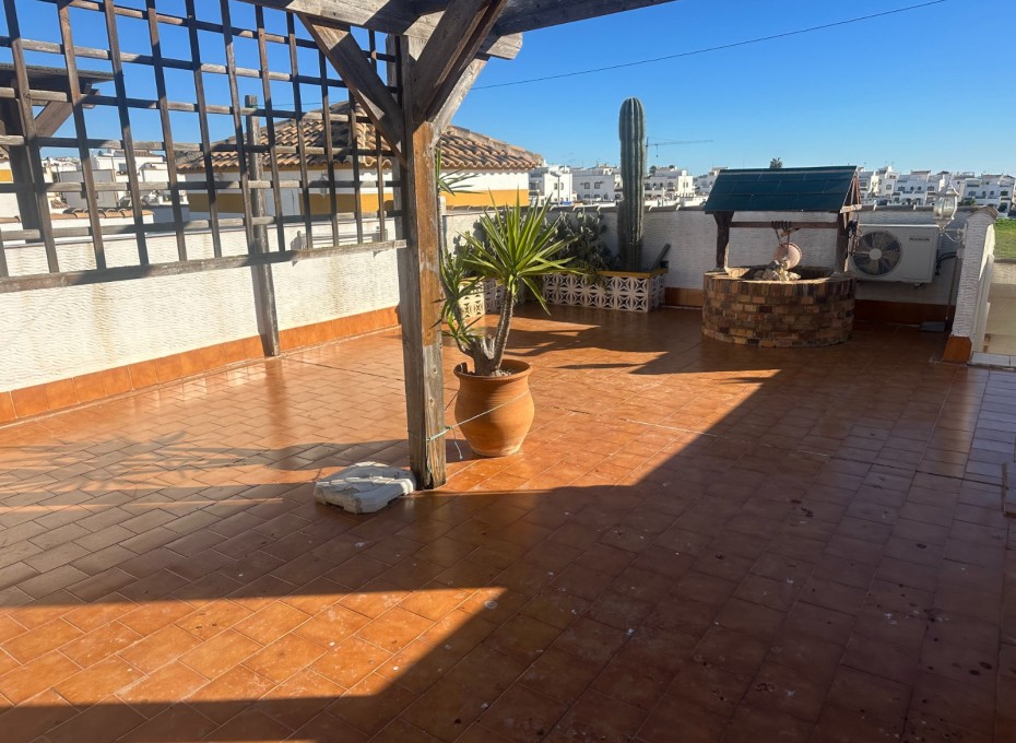 Reventa - Piso -
Orihuela - Entre Naranjos Vistabella