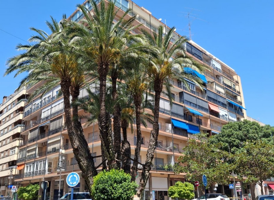 Reventa - Piso -
Orihuela - Zona Centro