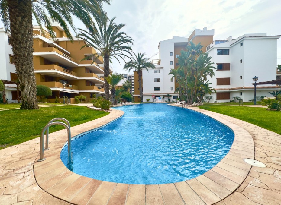 Reventa - Piso -
Torrevieja - Punta prima
