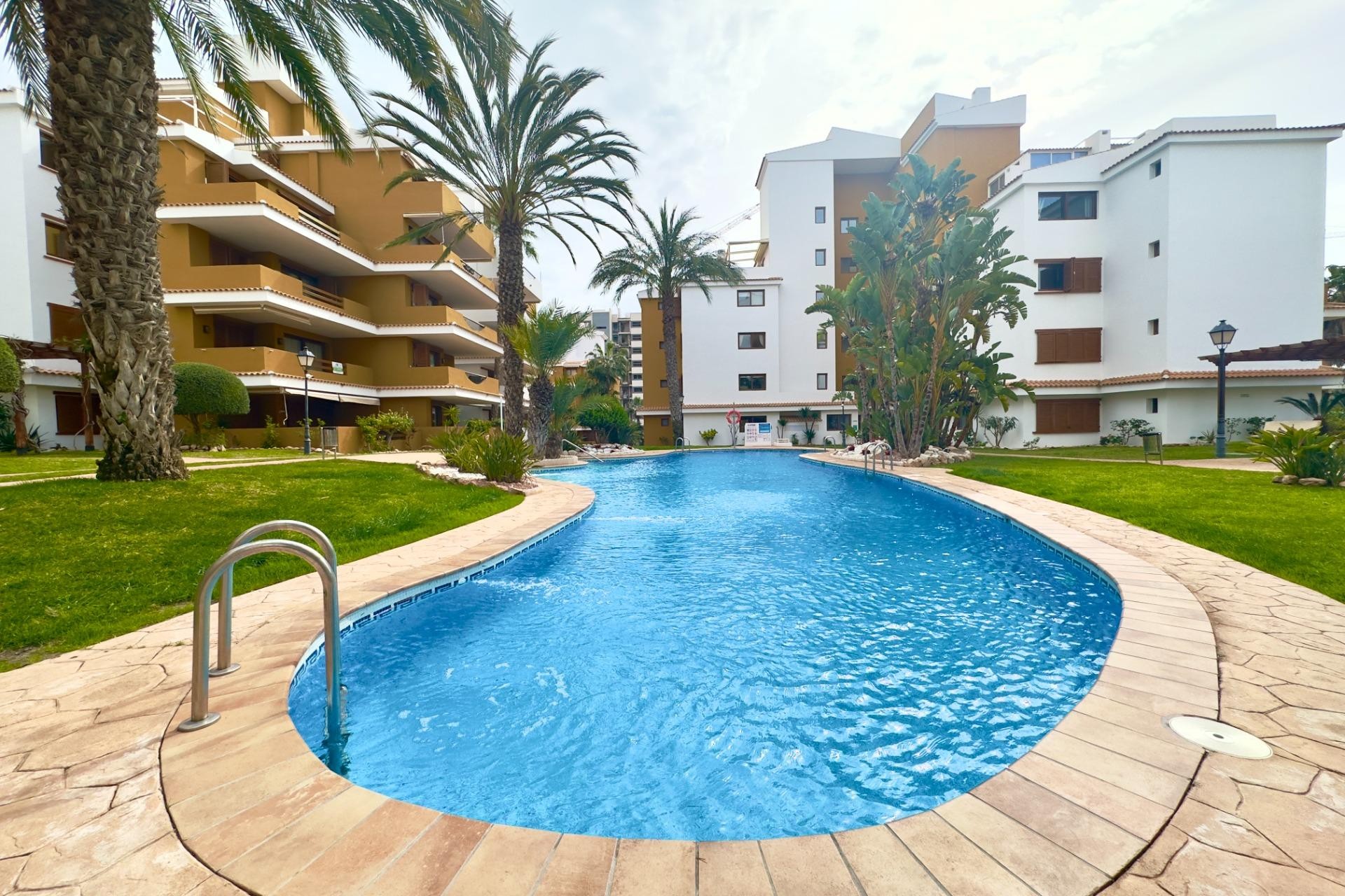 Reventa - Piso -
Torrevieja - Punta prima