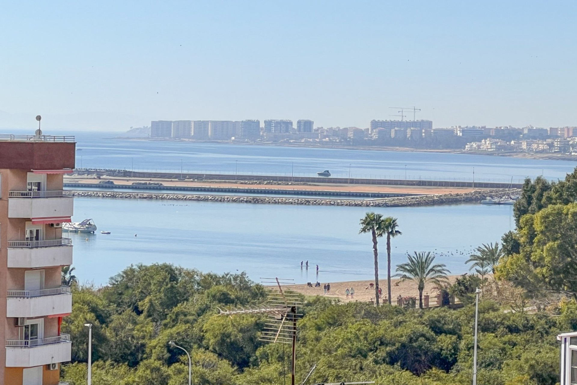 Reventa - Piso -
Torrevieja