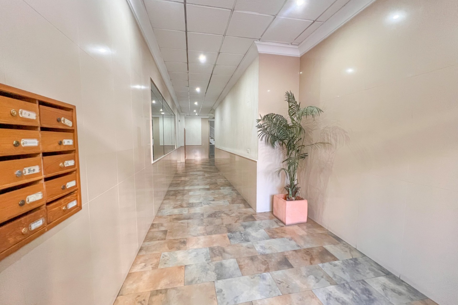 Reventa - Piso -
Torrevieja