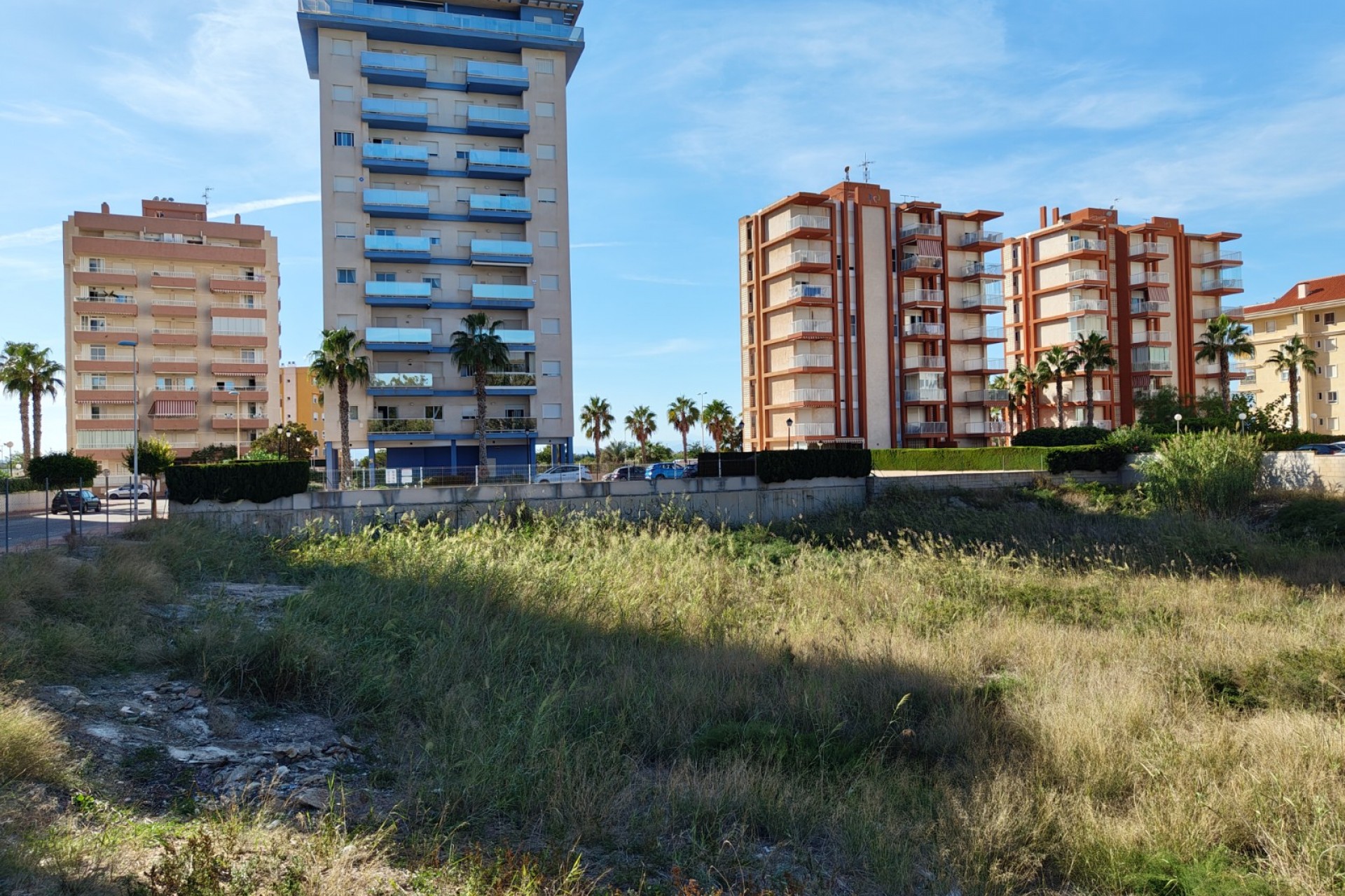 Reventa - Plot -
Guardamar del Segura - Guardamar pueblo