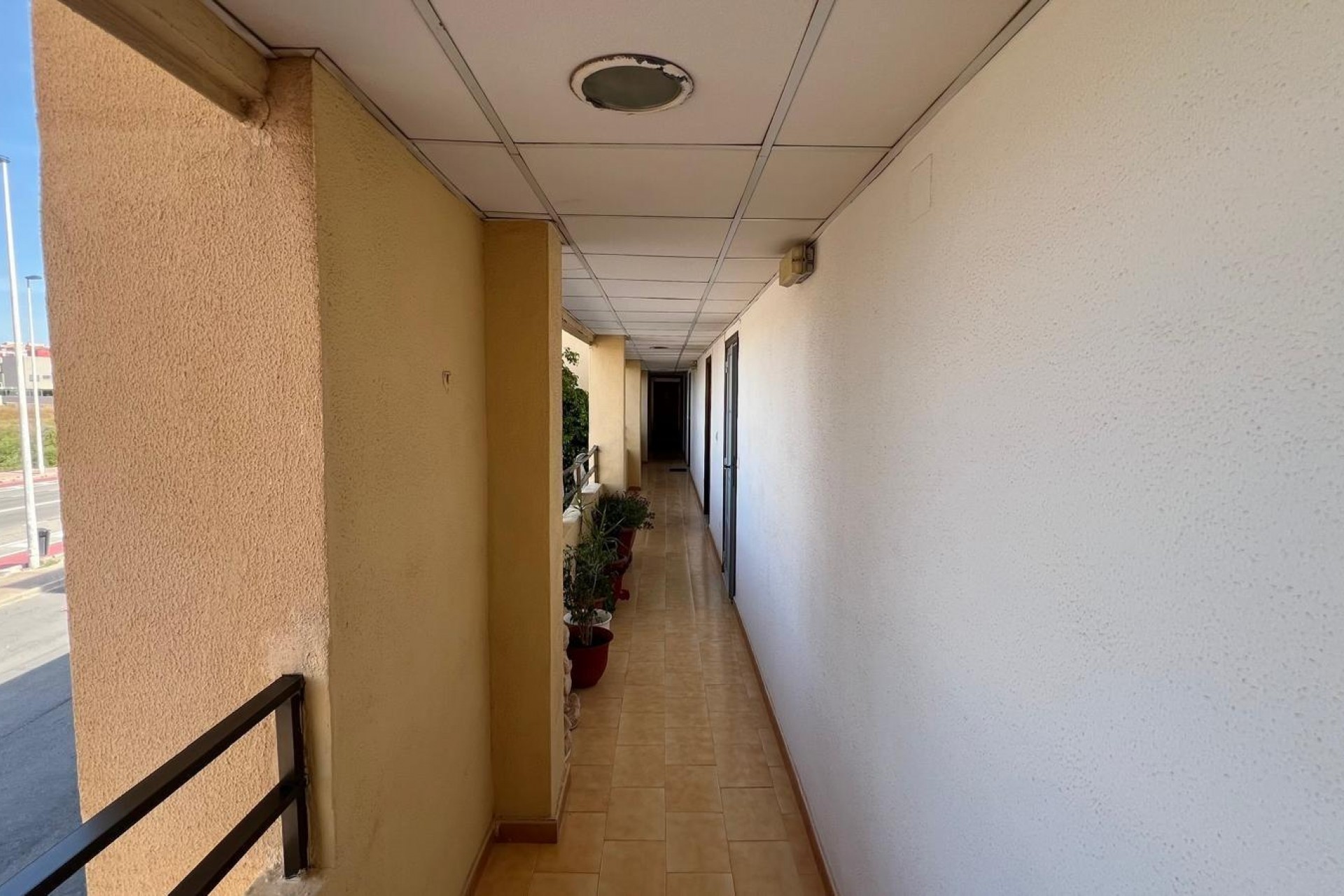 Reventa - Studio -
Torrevieja - Urb. Rosaleda