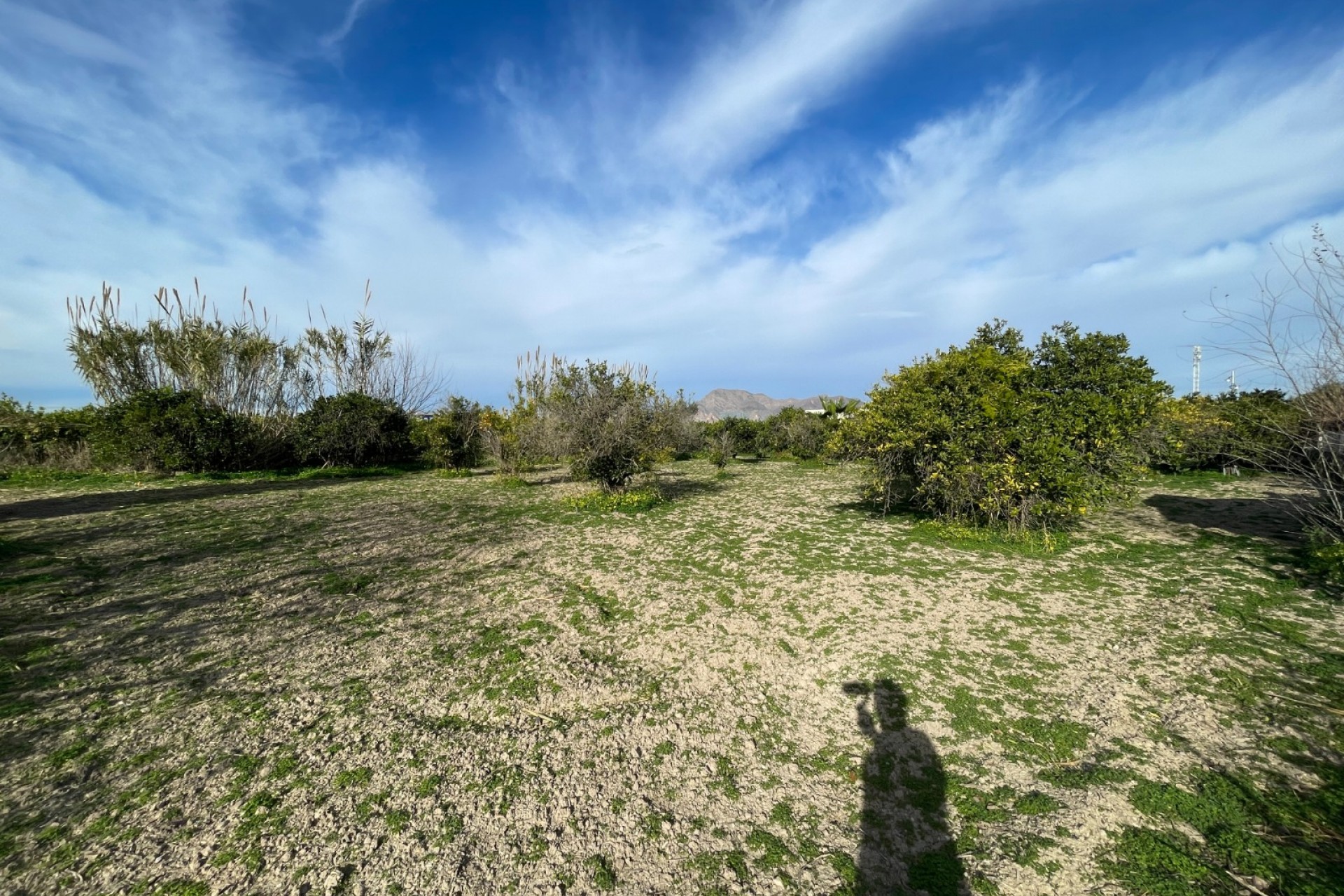 Reventa - Villa -
Benejuzar - Comunidad Valenciana