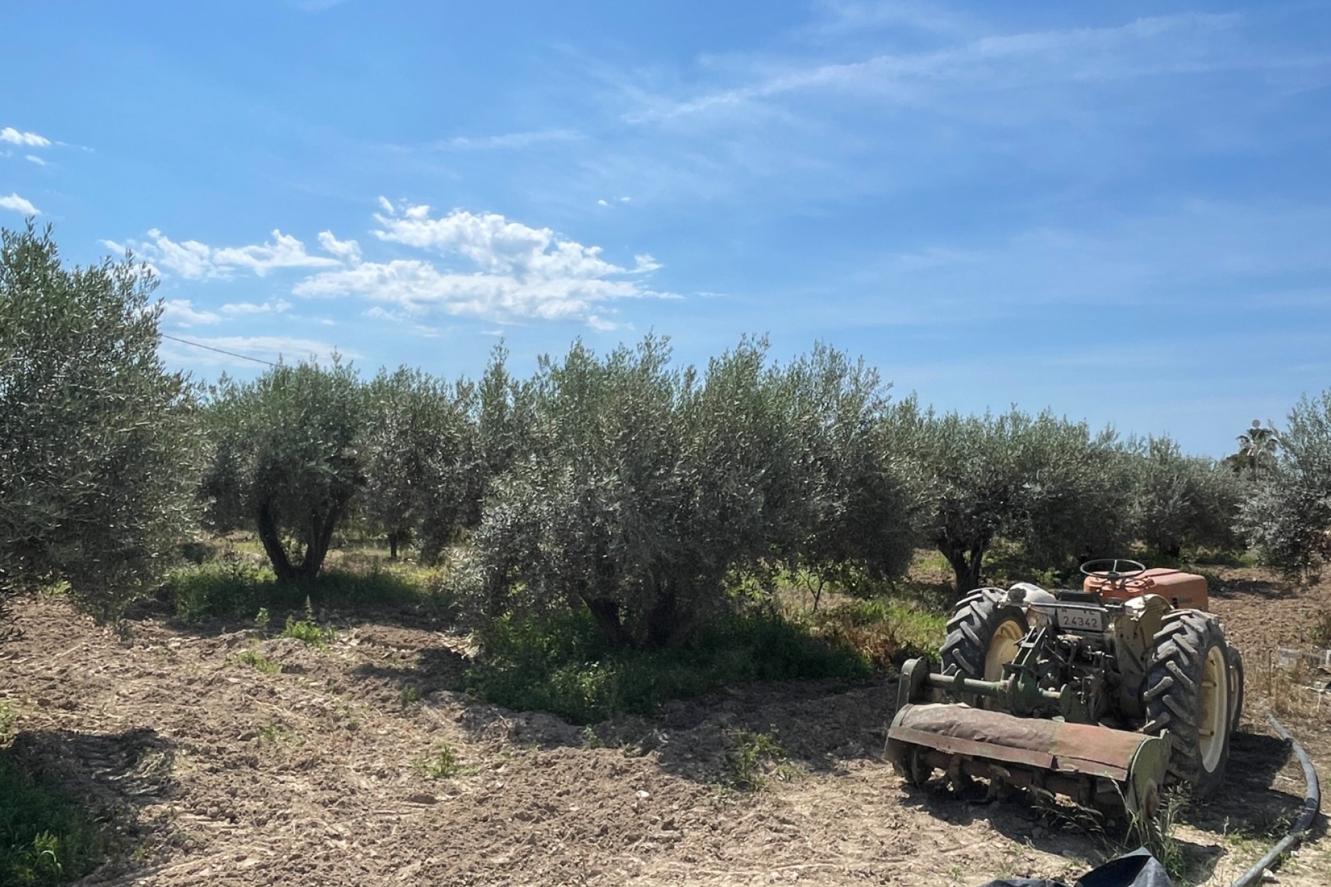 Reventa - Villa -
Crevillente