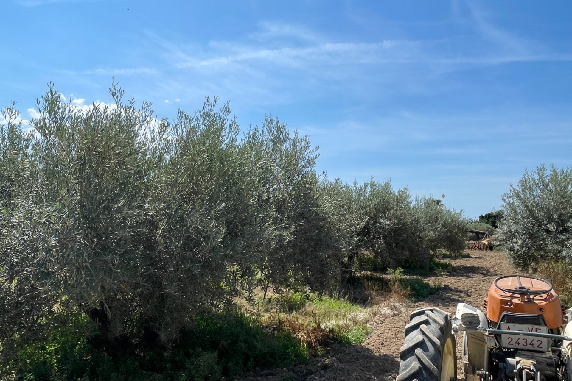 Reventa - Villa -
Crevillente