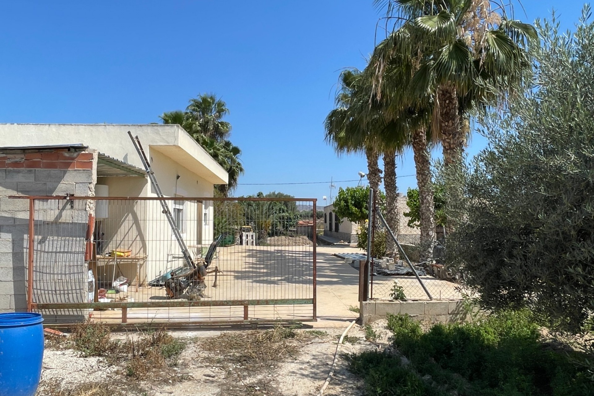 Reventa - Villa -
Crevillente