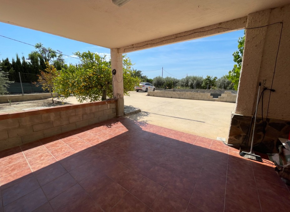 Reventa - Villa -
Crevillente