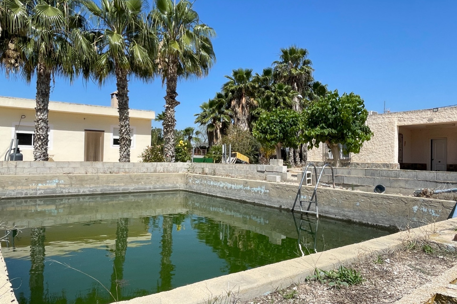 Reventa - Villa -
Crevillente