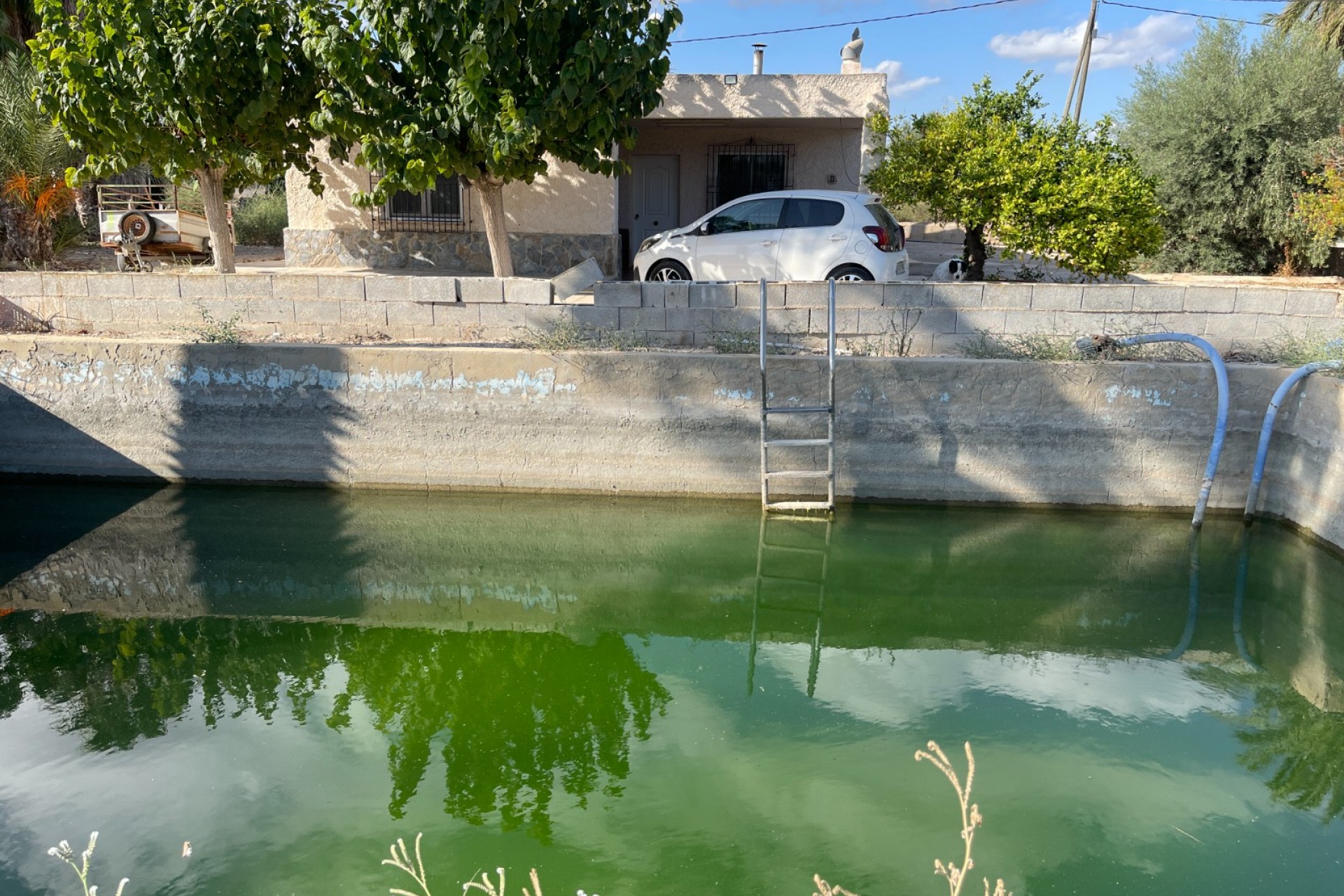 Reventa - Villa -
Crevillente