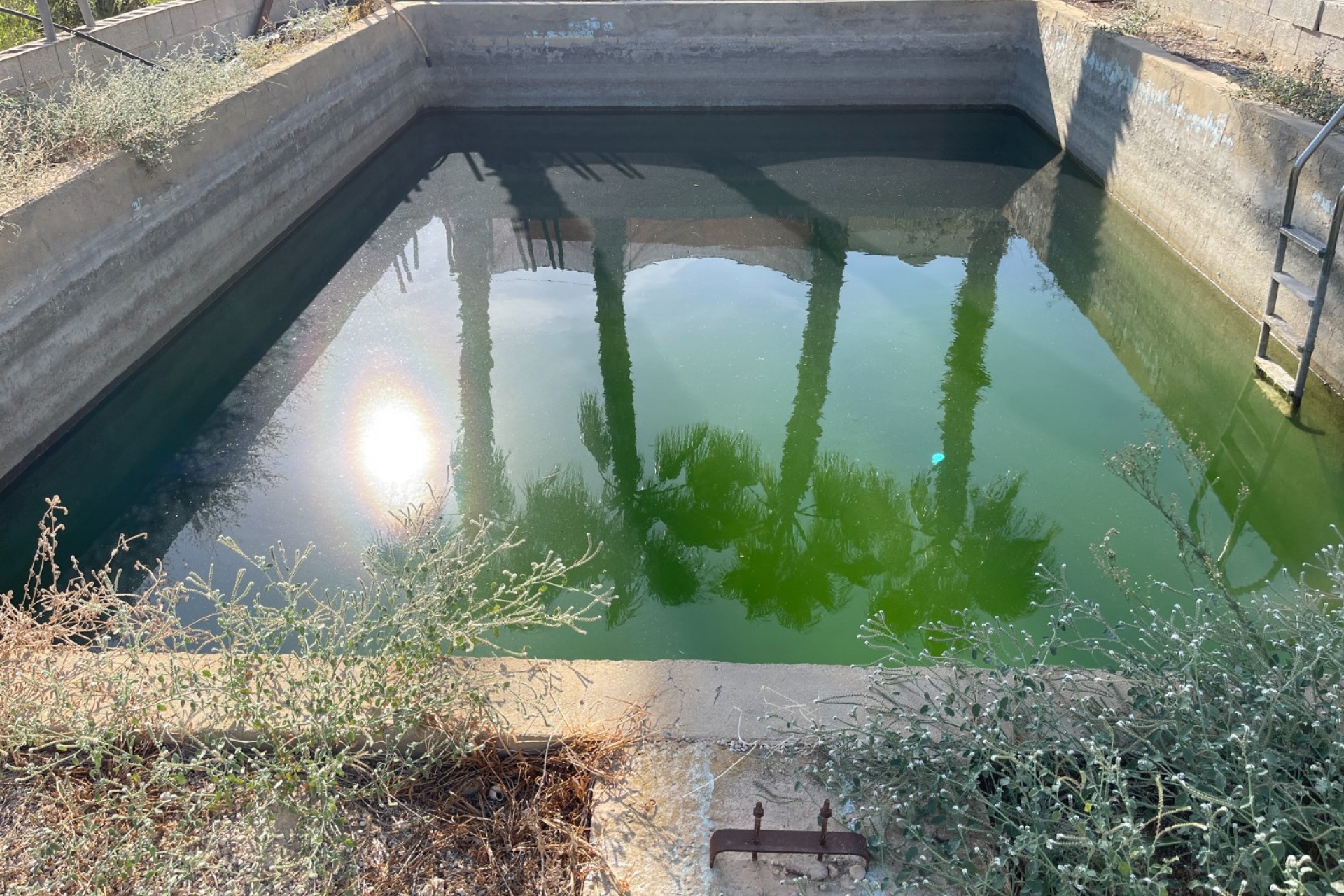 Reventa - Villa -
Crevillente