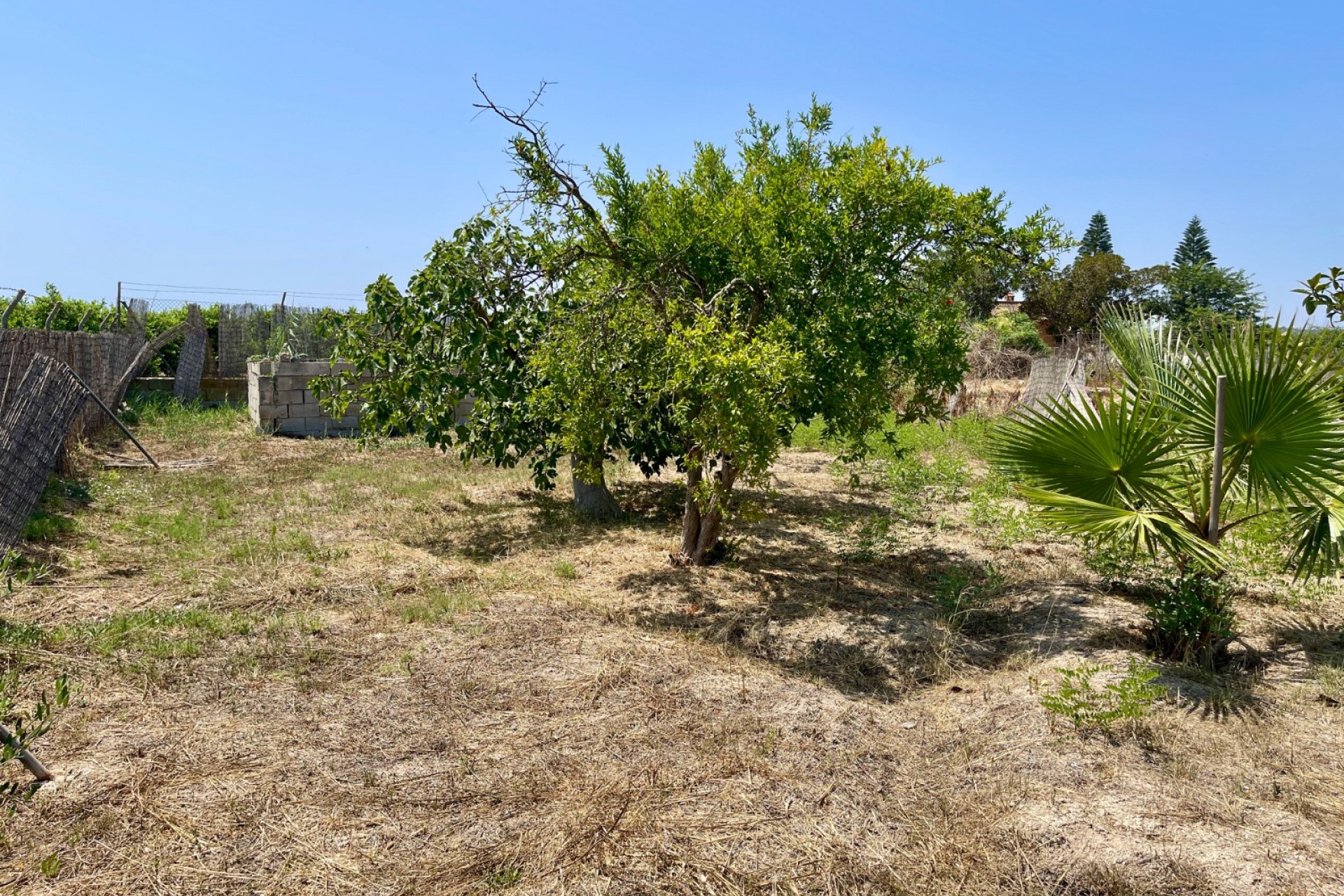Reventa - Villa -
Daya Nueva