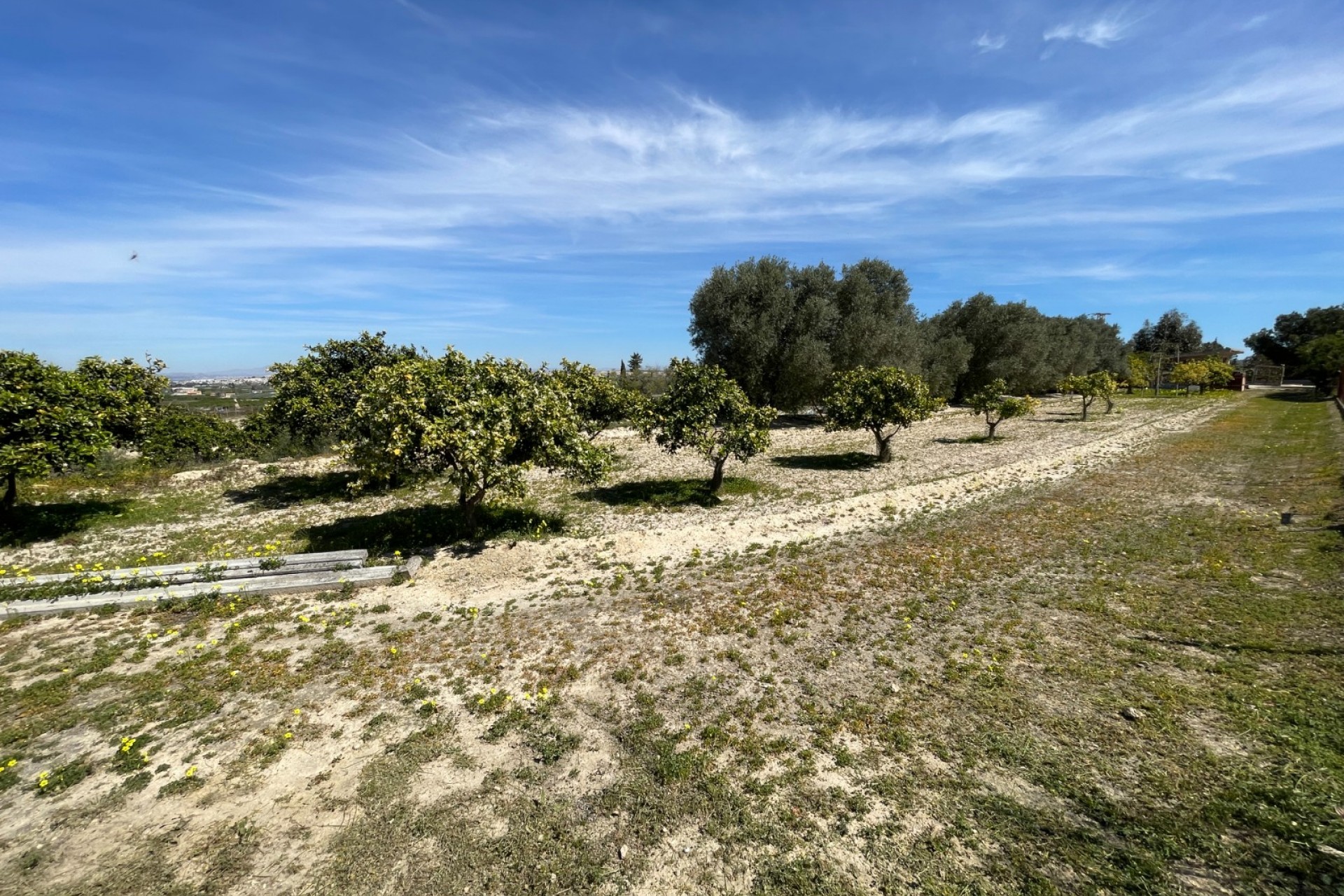 Reventa - Villa -
Guardamar del Segura - Valencian Community