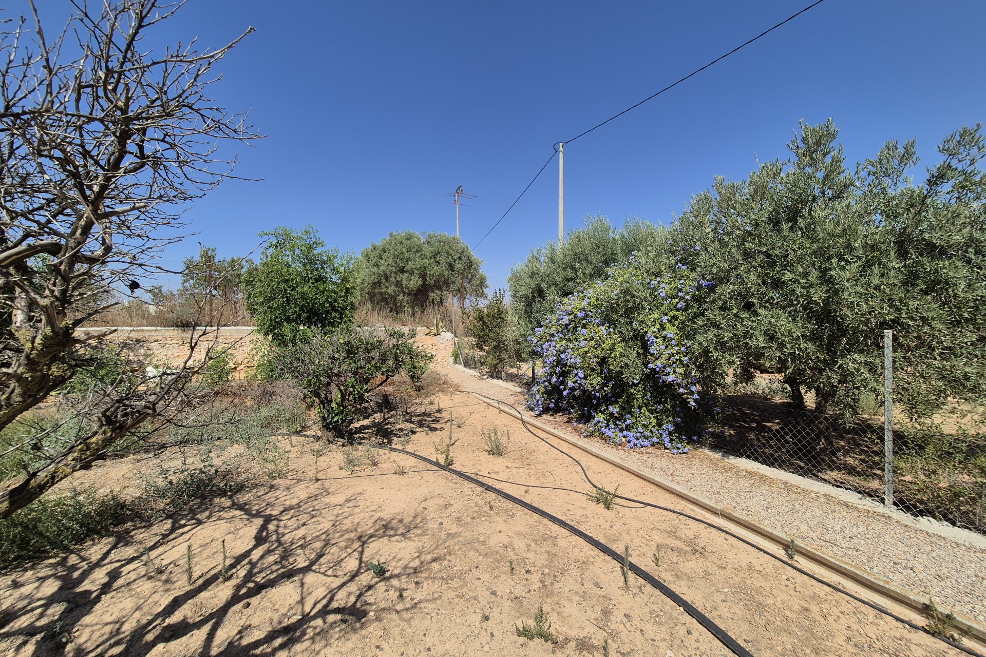 Reventa - Villa -
La Pinilla