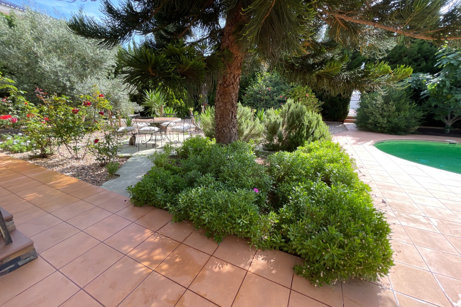 Reventa - Villa -
Rojales - Ciudad Quesada