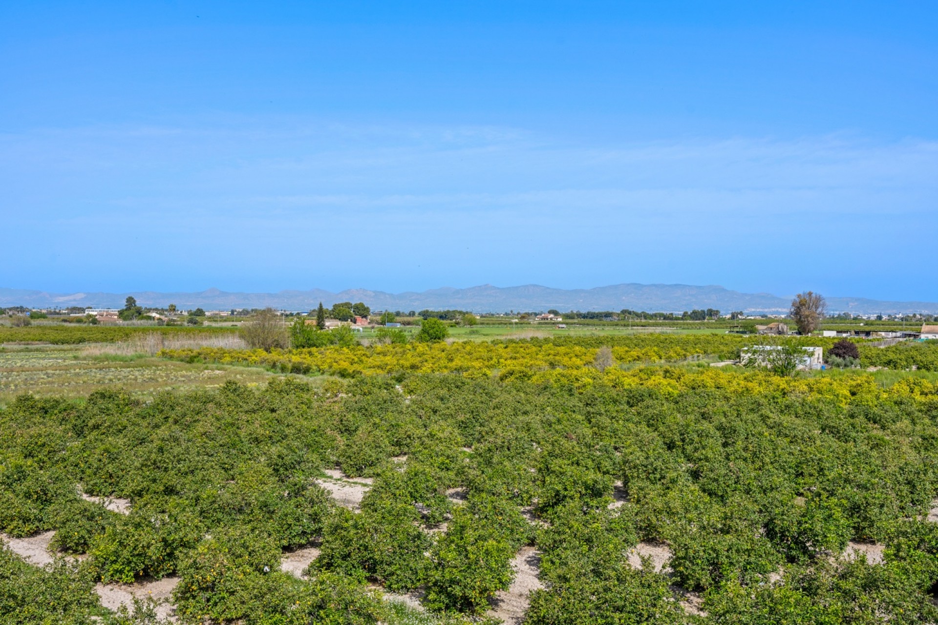 Revente - 1. Apartment / flat -
Daya Nueva - Costa Blanca South