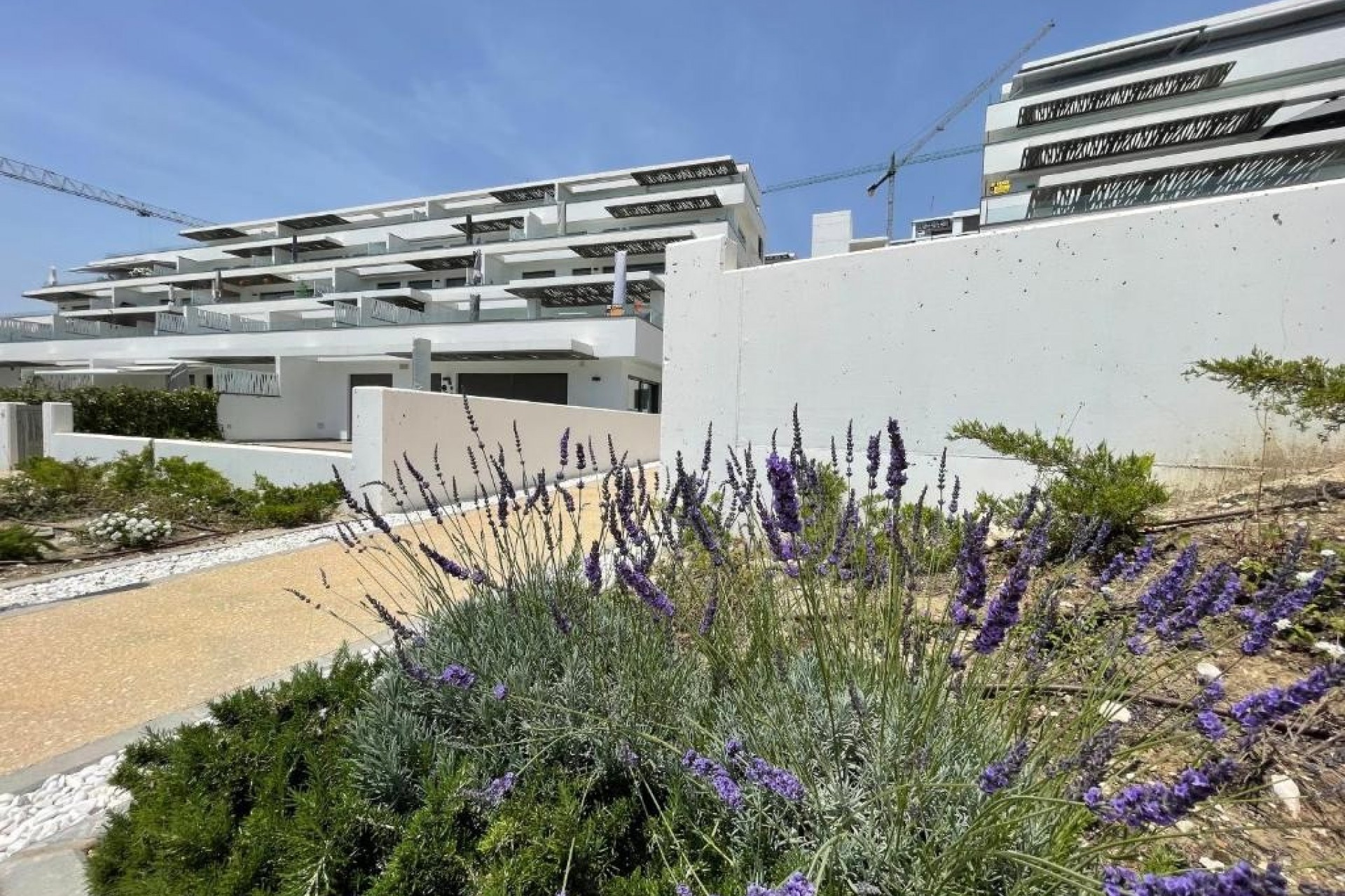 Revente - Apartment -
Finestrat - Seascape resort