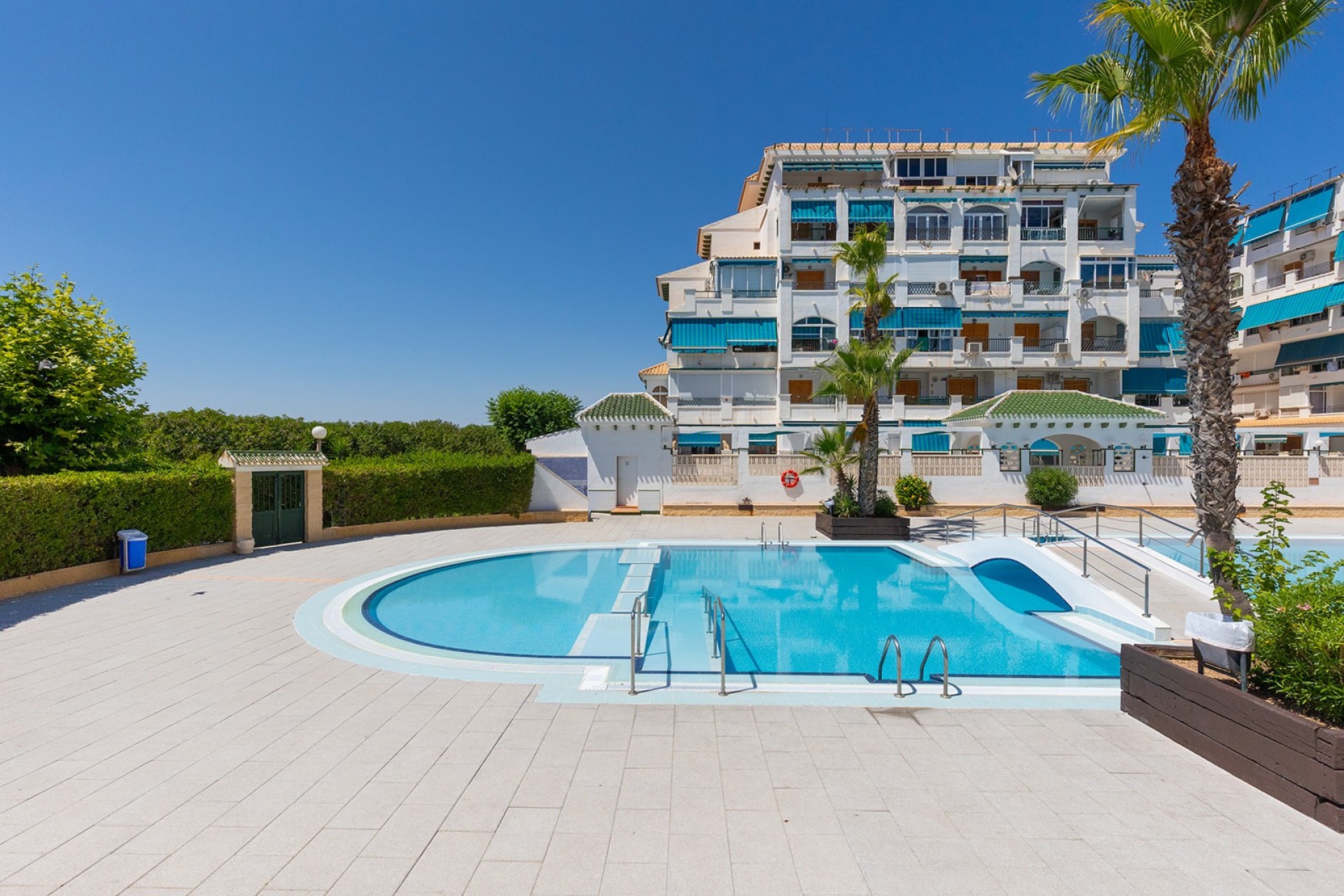Revente - Apartment - Flat -
La Mata - Playa