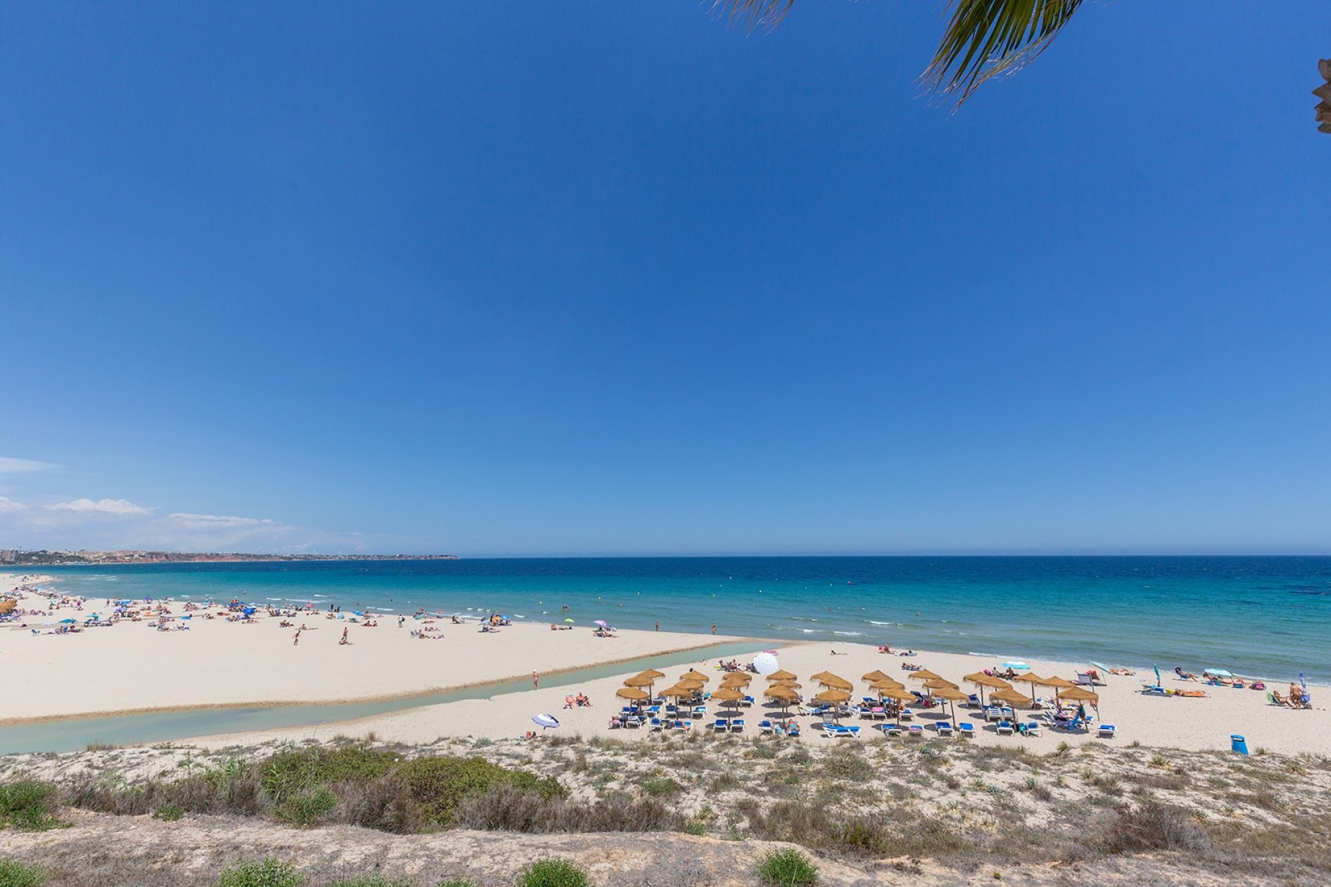 Revente - Apartment - Ground Floor -
Pilar de la Horadada - Mil Palmeras