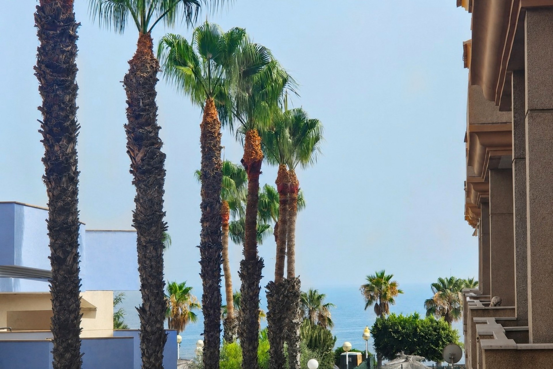 Revente - Apartment -
Orihuela Costa - Aguamarina
