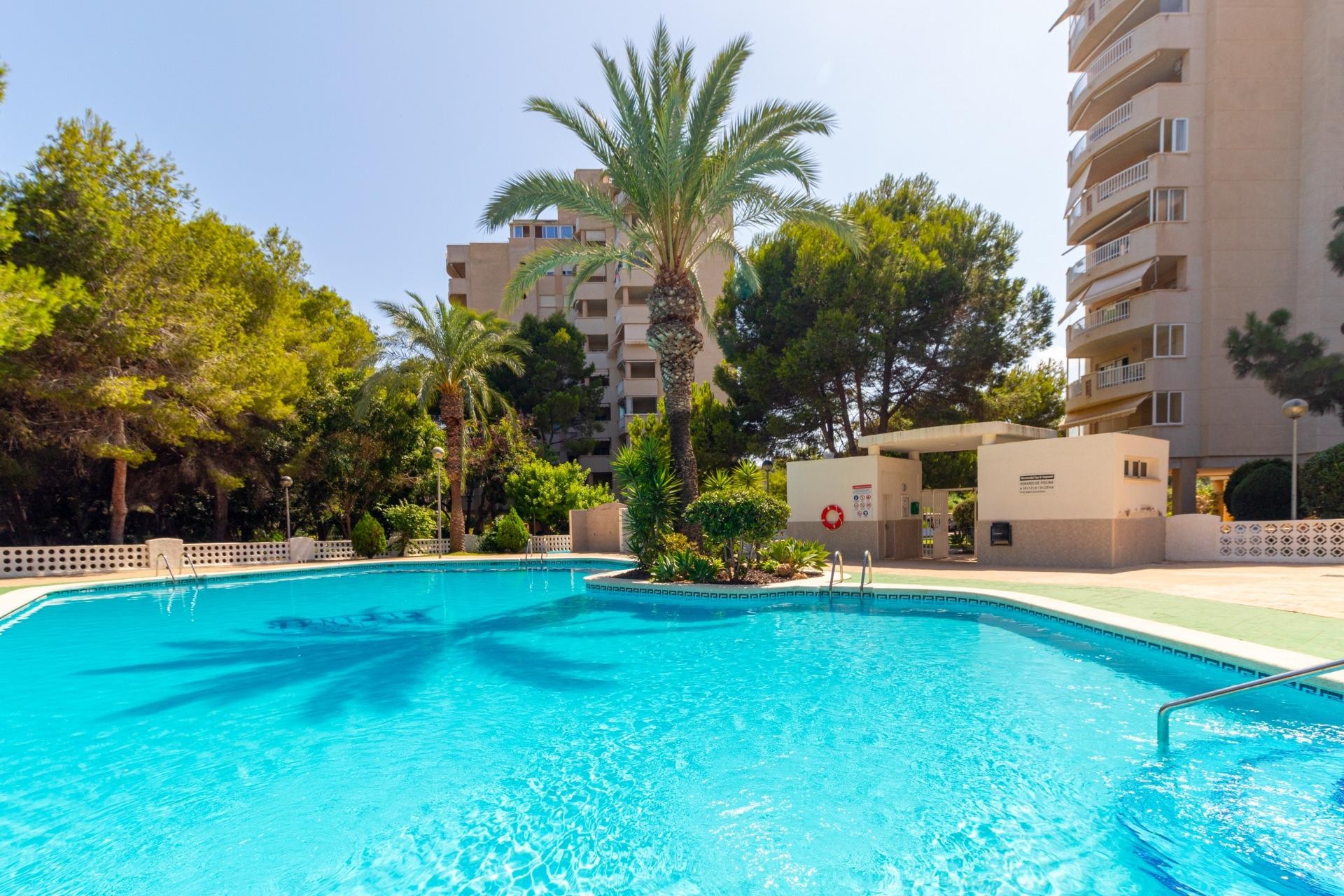 Revente - Apartment -
Orihuela Costa - Campoamor
