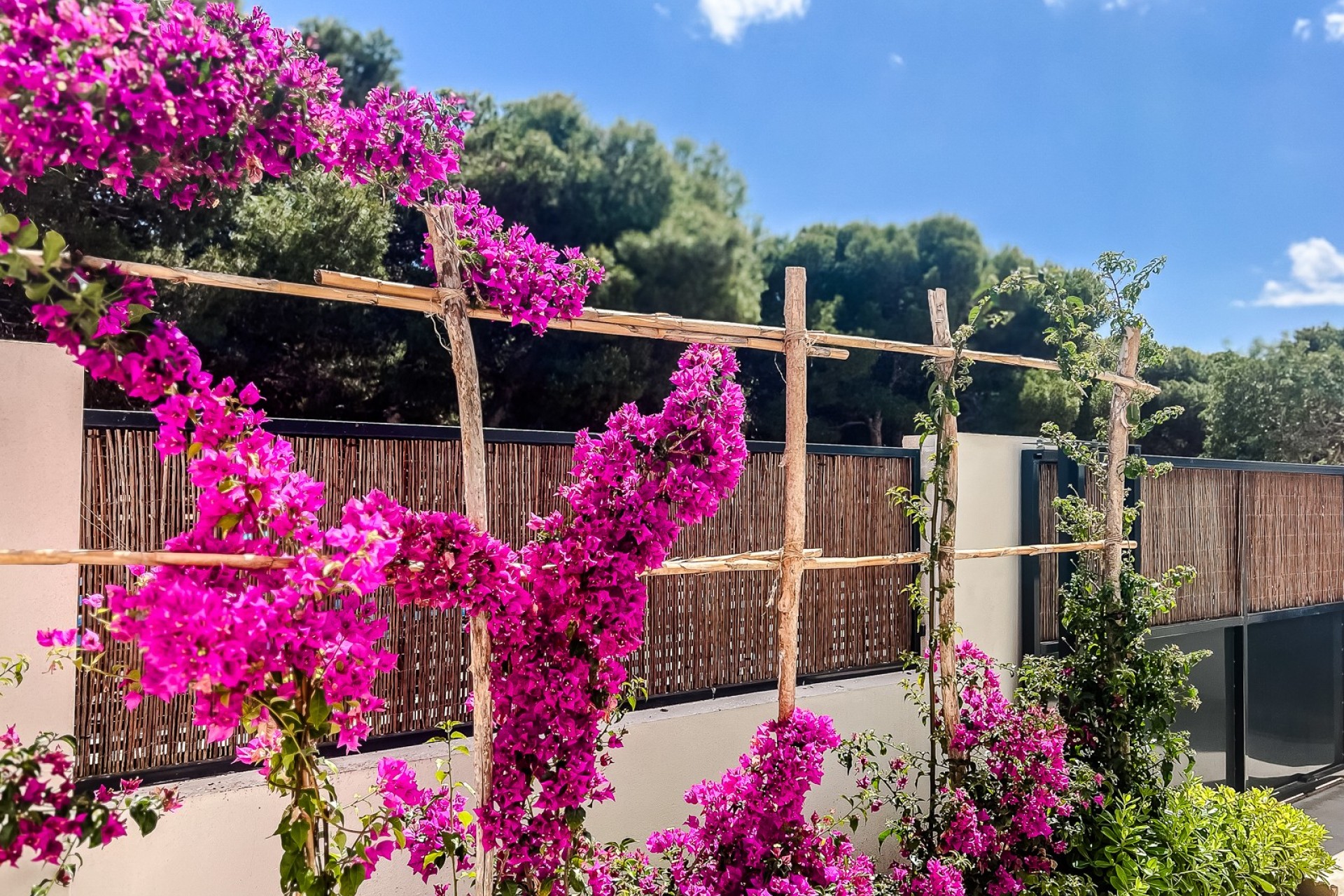 Revente - Apartment -
San Javier - Santiago de la Ribera