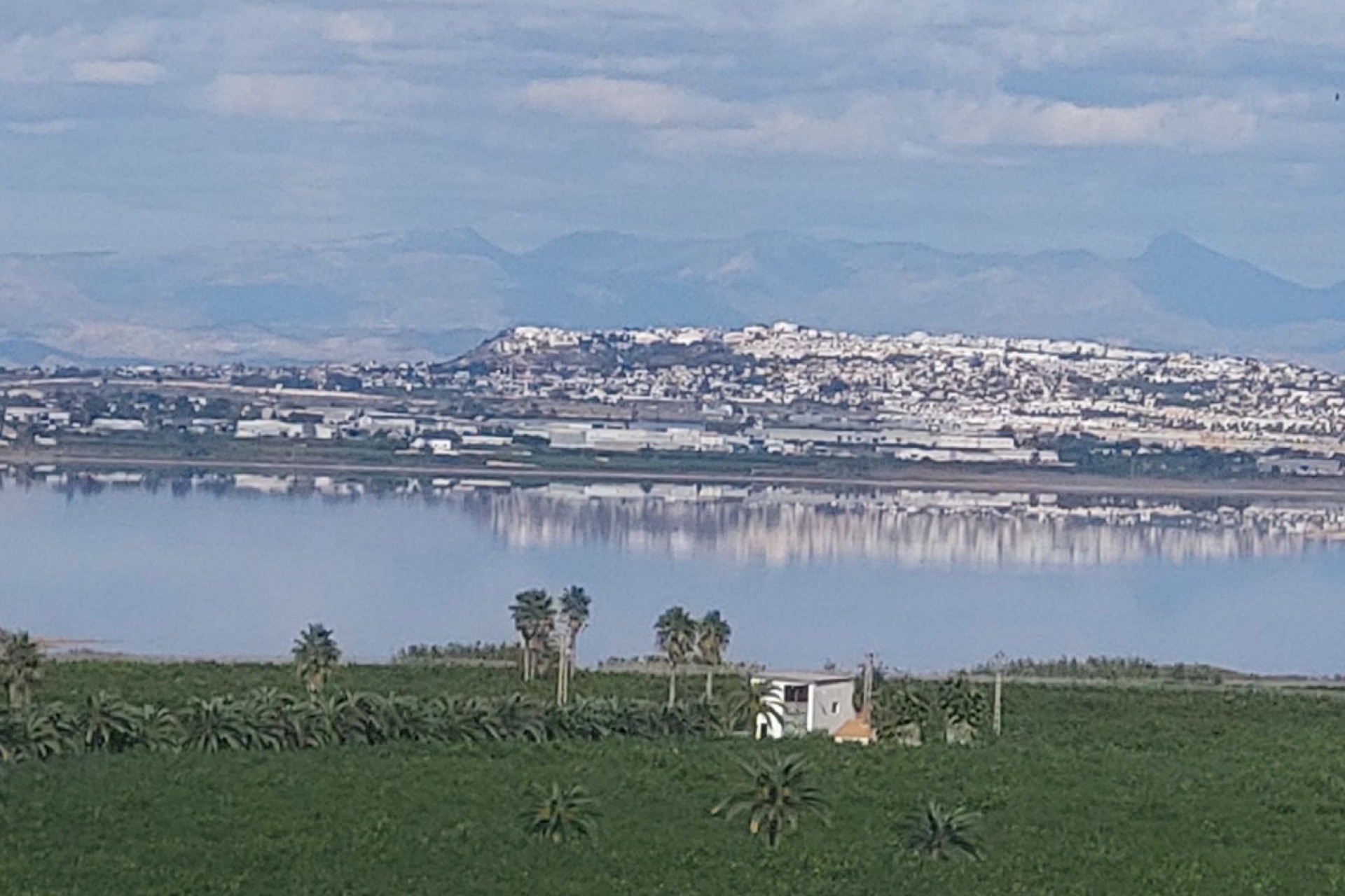 Revente - Apartment -
Torrevieja - Los Balcones
