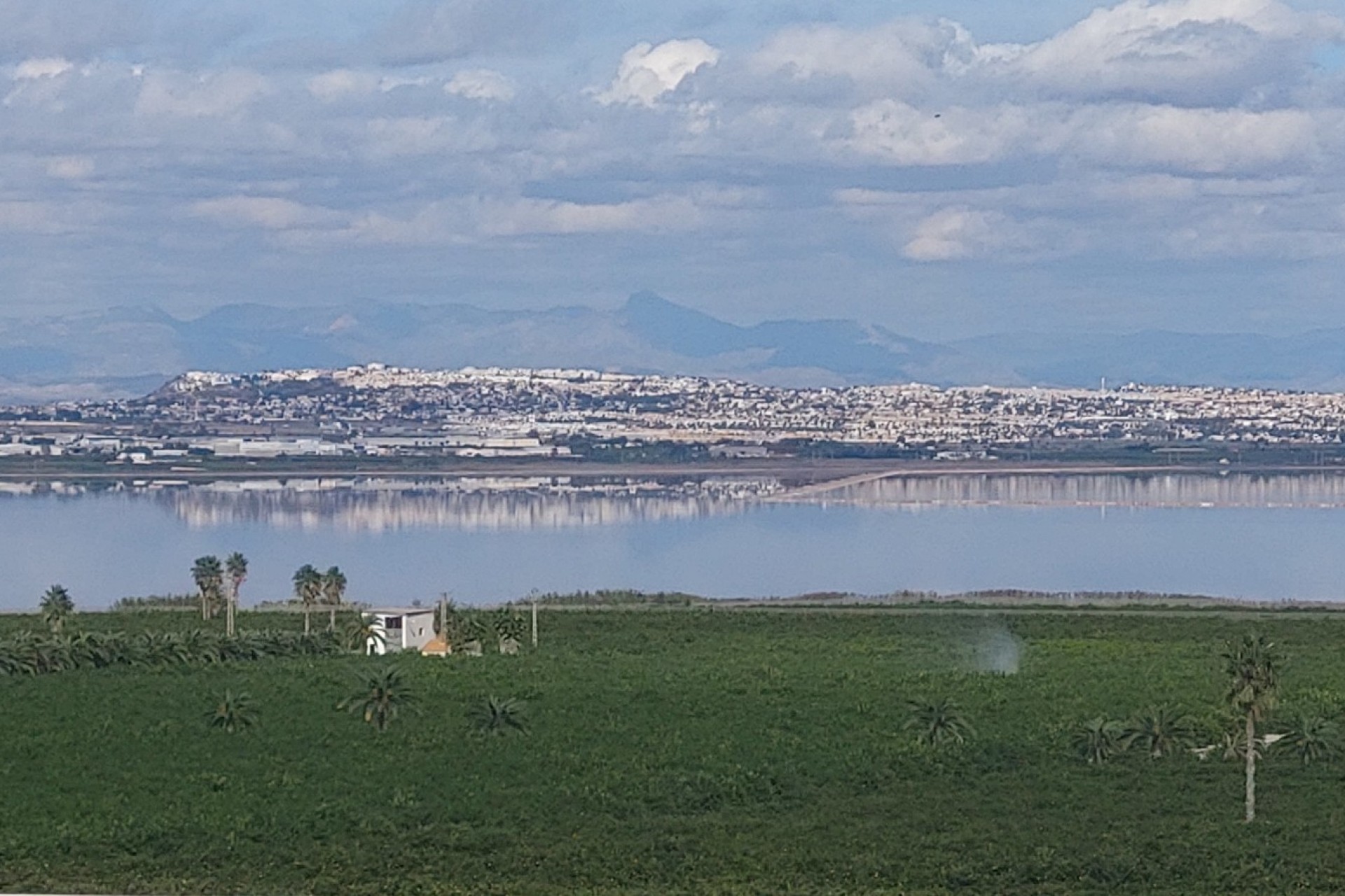 Revente - Apartment -
Torrevieja - Los Balcones