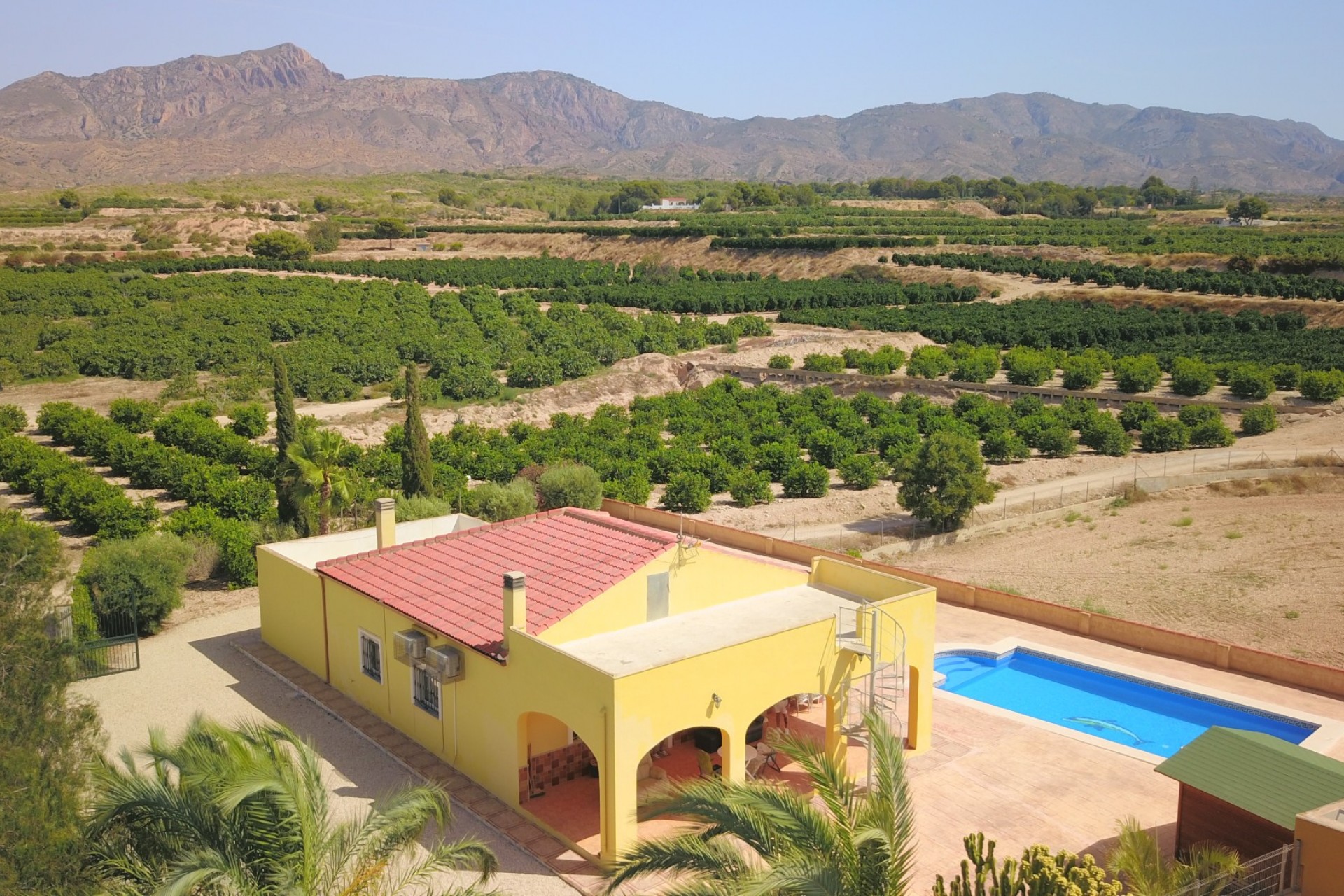 Revente - Country House -
Albatera - Albatera - Country
