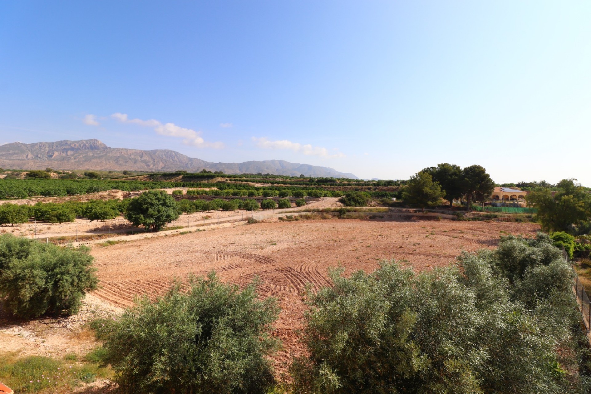 Revente - Country House -
Albatera - Albatera - Country
