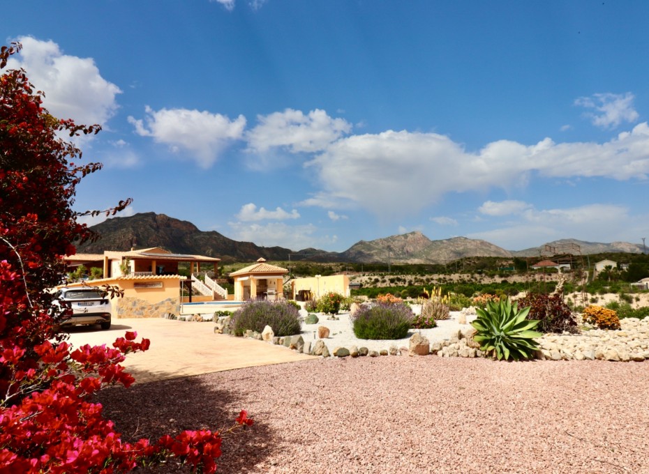 Revente - Country House -
Albatera