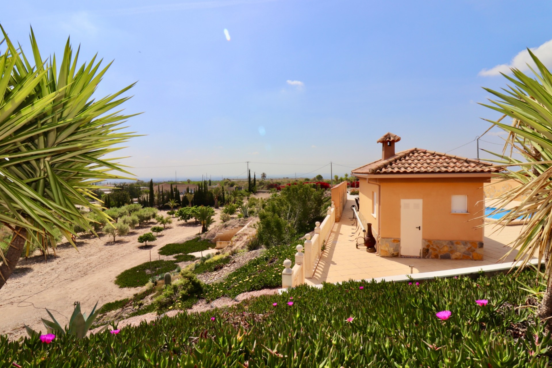 Revente - Country House -
Albatera