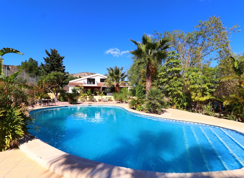 Revente - Country House -
Aspe - Aspe - Country