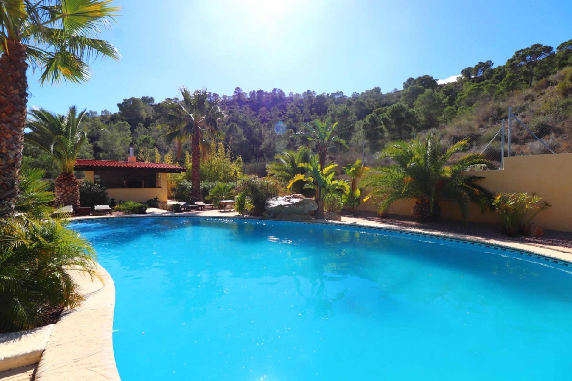 Revente - Country House -
Aspe - Aspe - Country