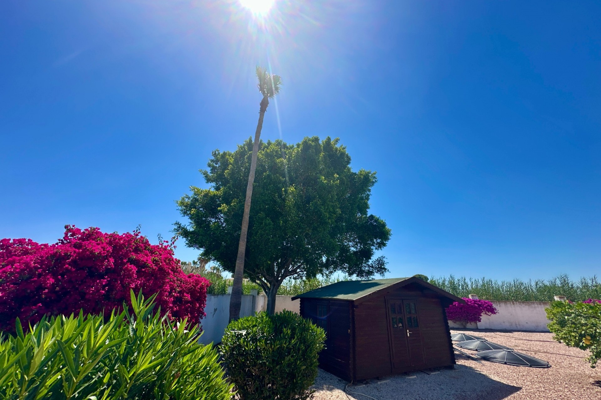 Revente - Country House -
Catral