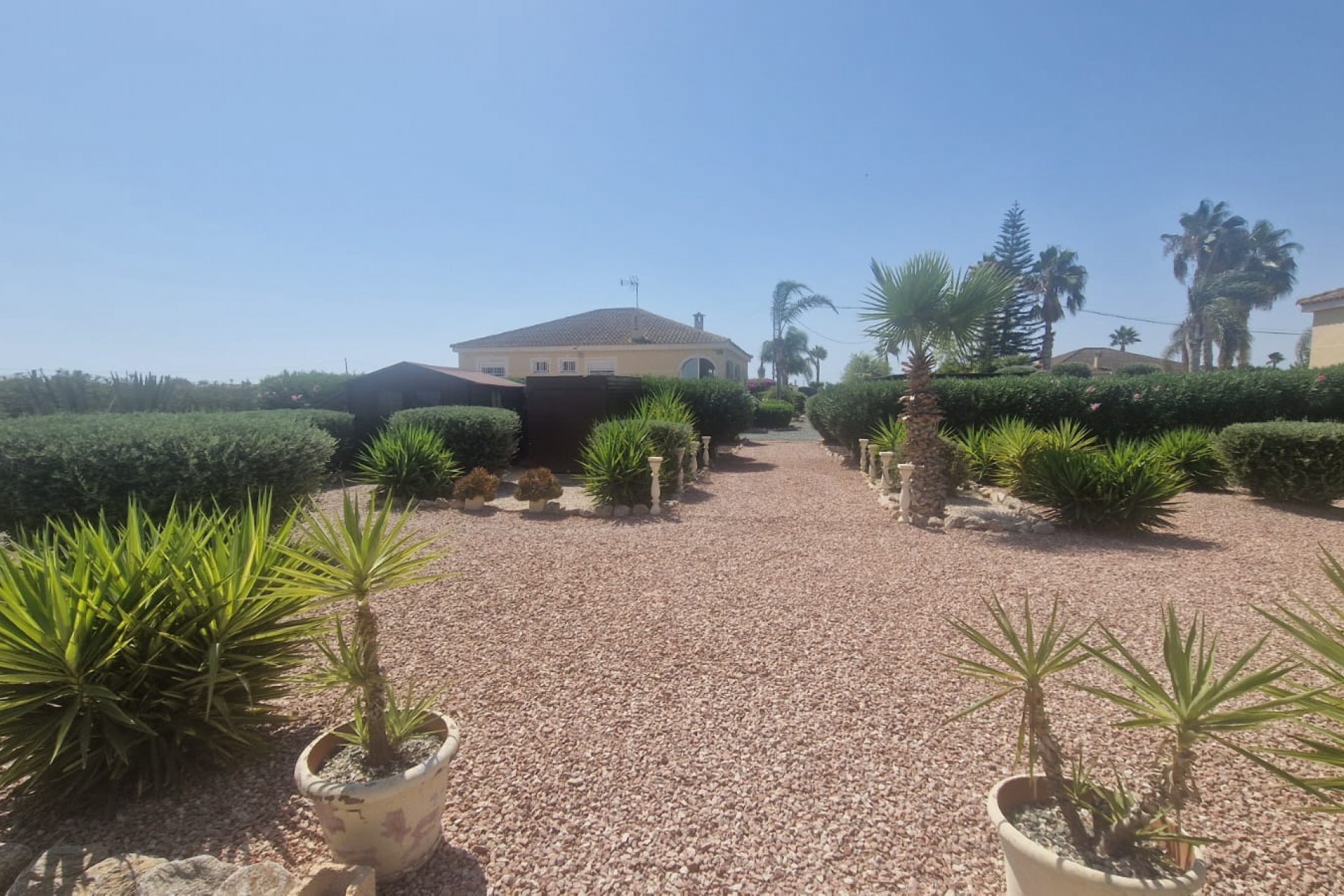 Revente - Country House -
Catral