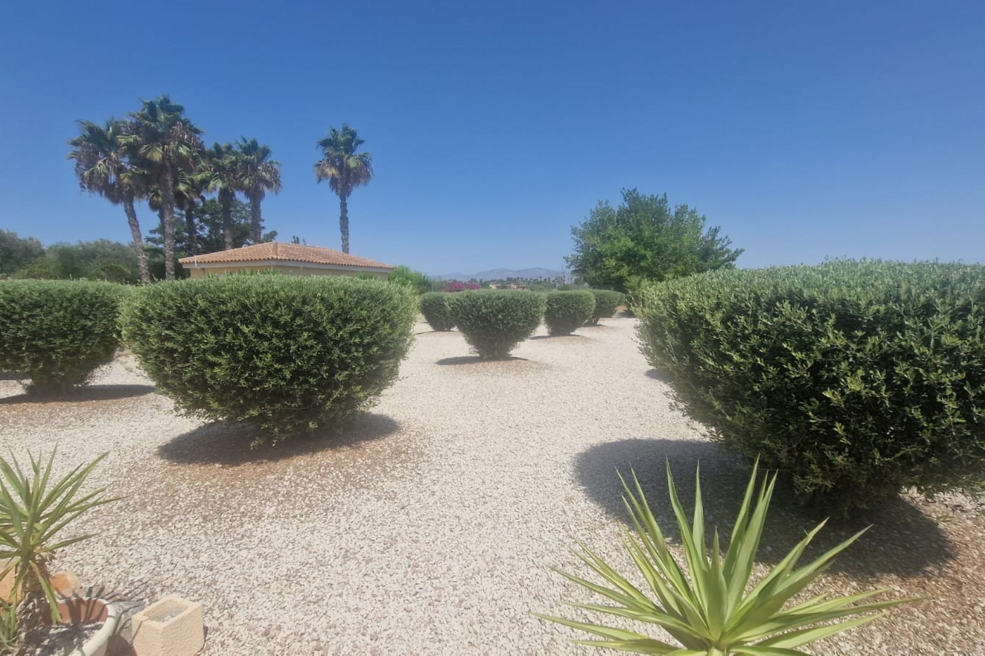 Revente - Country House -
Catral